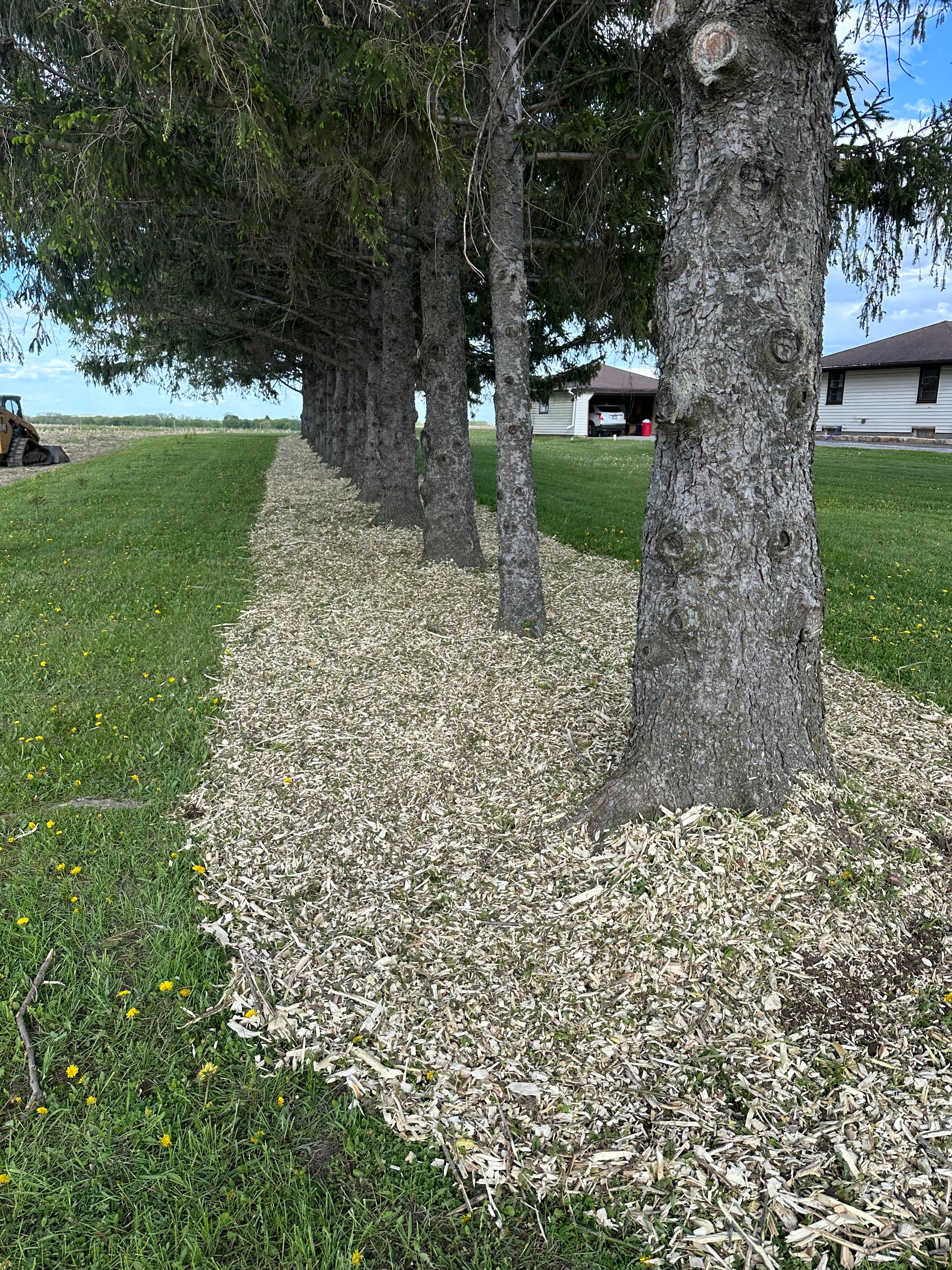  for 608 Earthworks in Marshall, WI