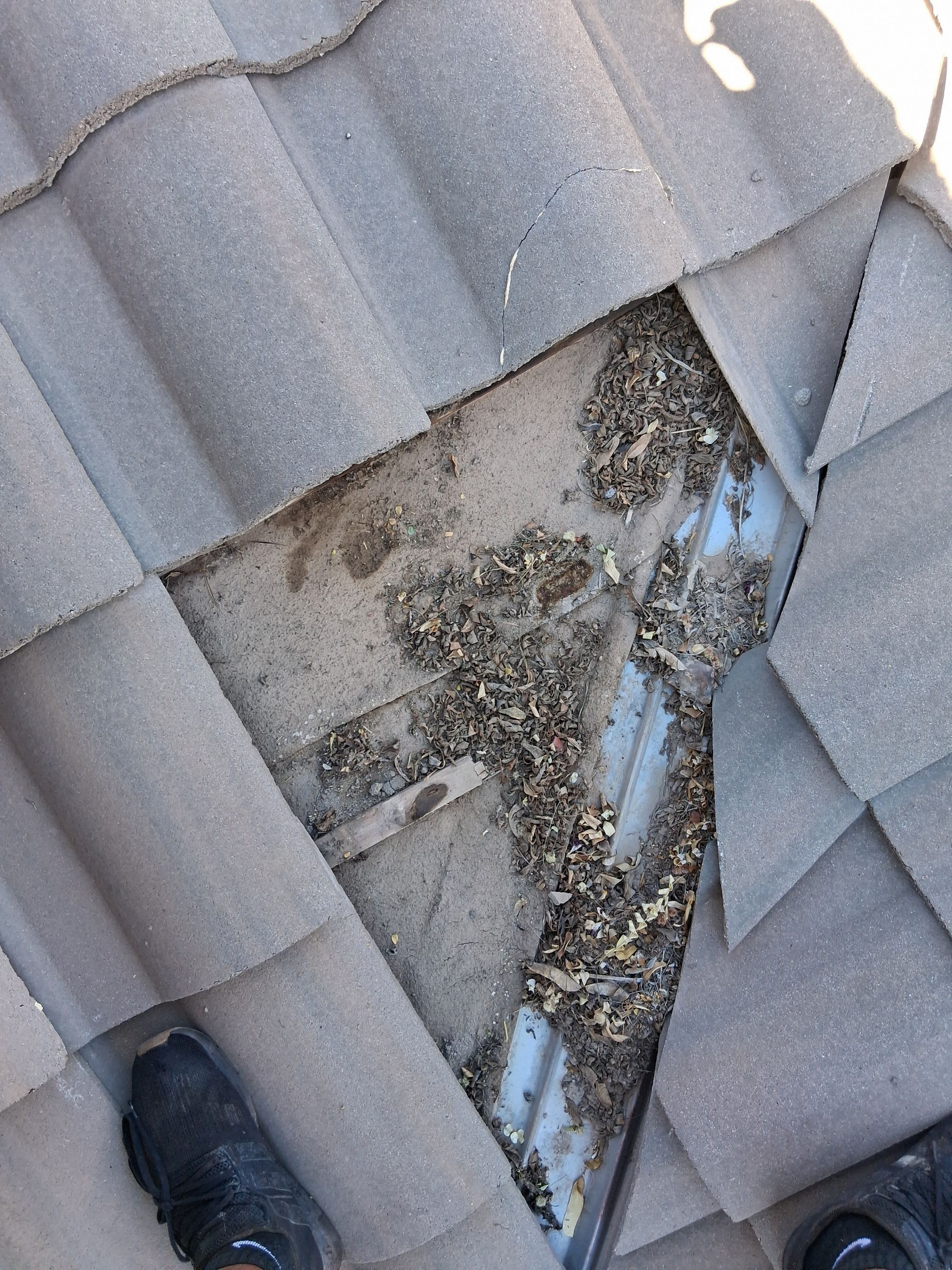  for Olson & Sons Contracting in Mesa, AZ