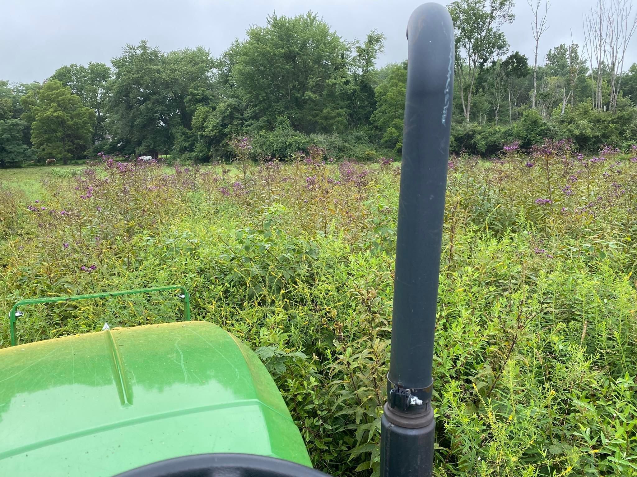 All Photos for A1 Bush Hogging & Lawn Service in Columbus, OH