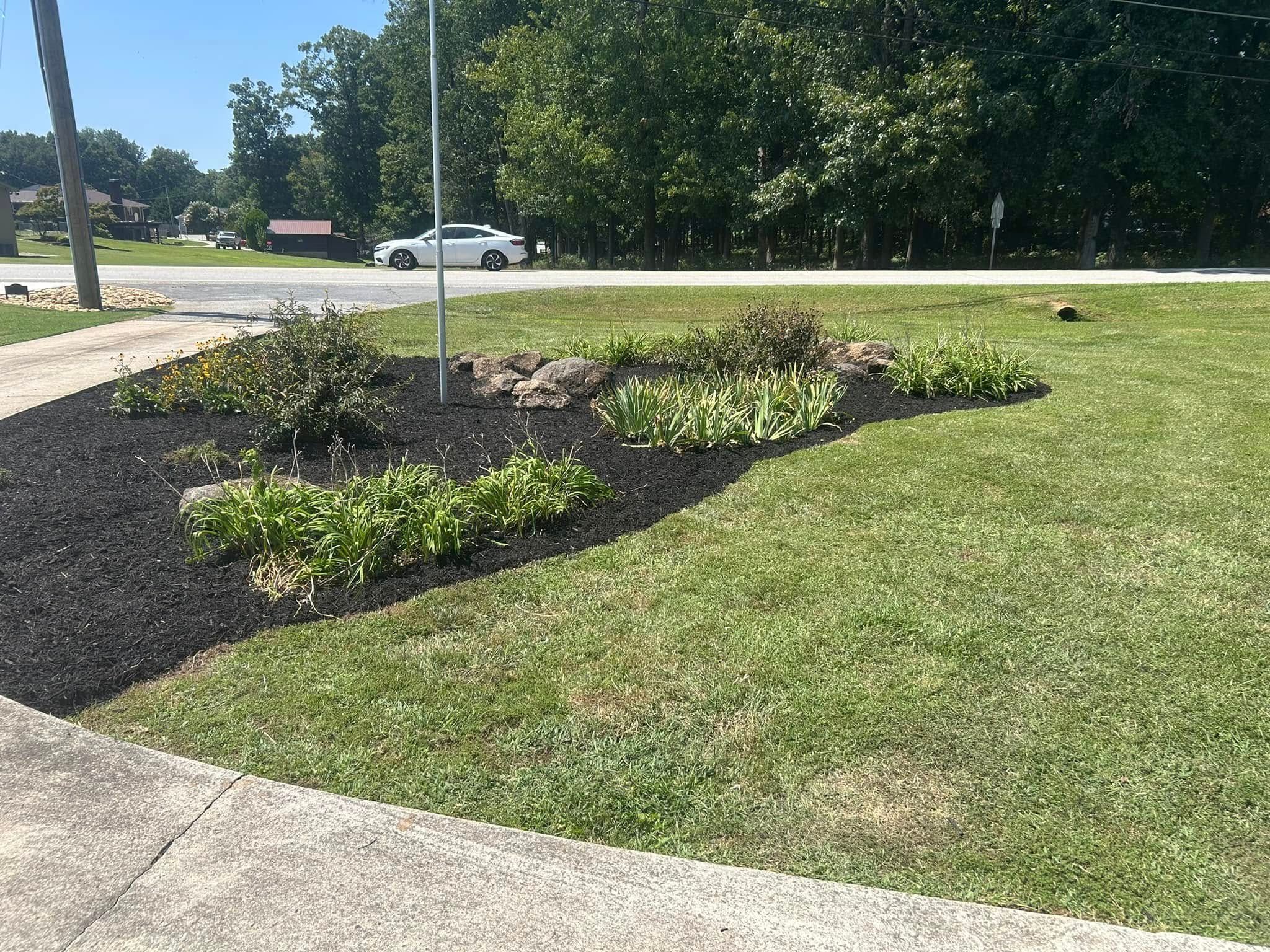  for 1UP Services LLC in Starr, SC