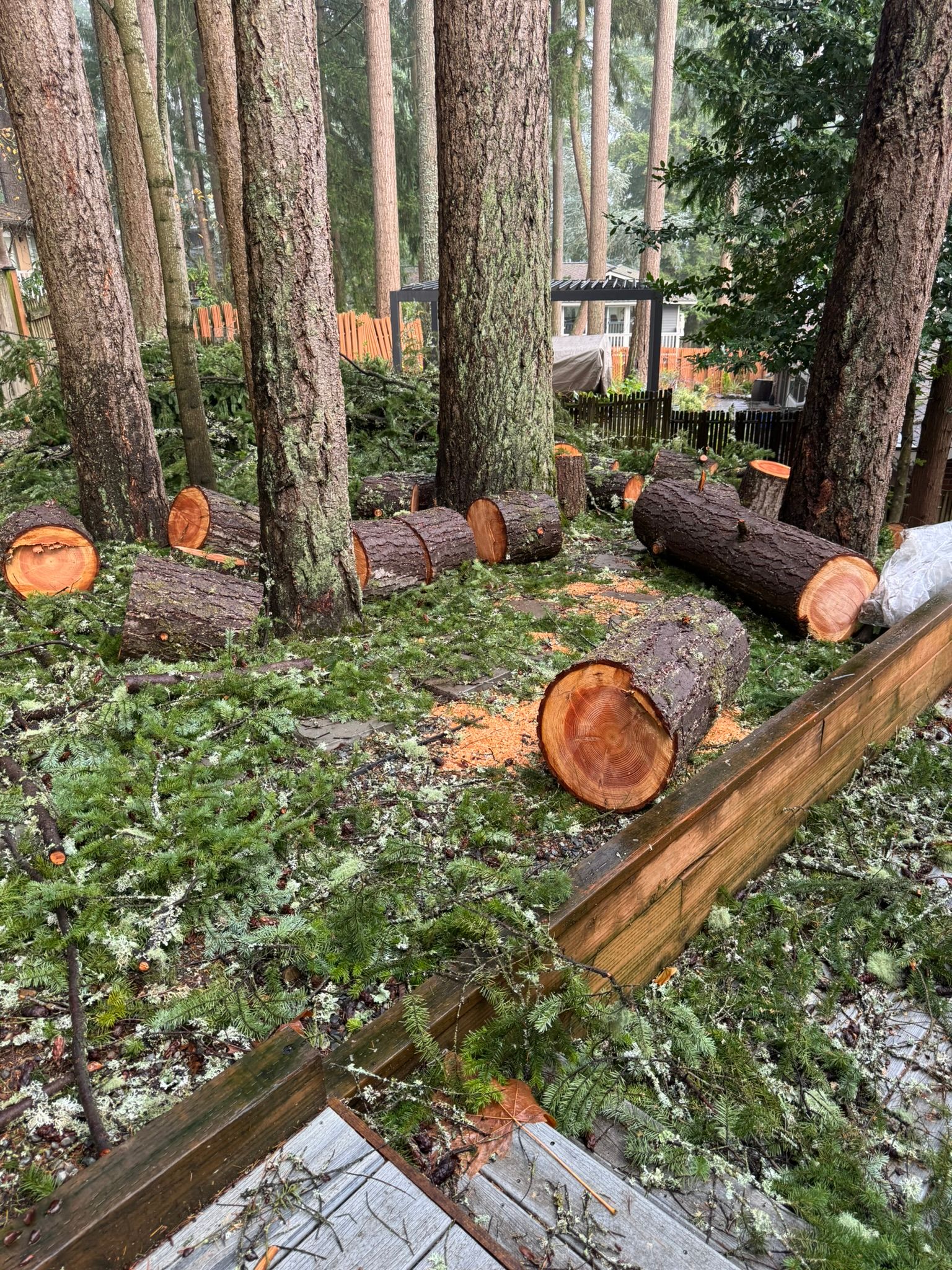  for Tony's Remodeling & Painting in Renton, WA