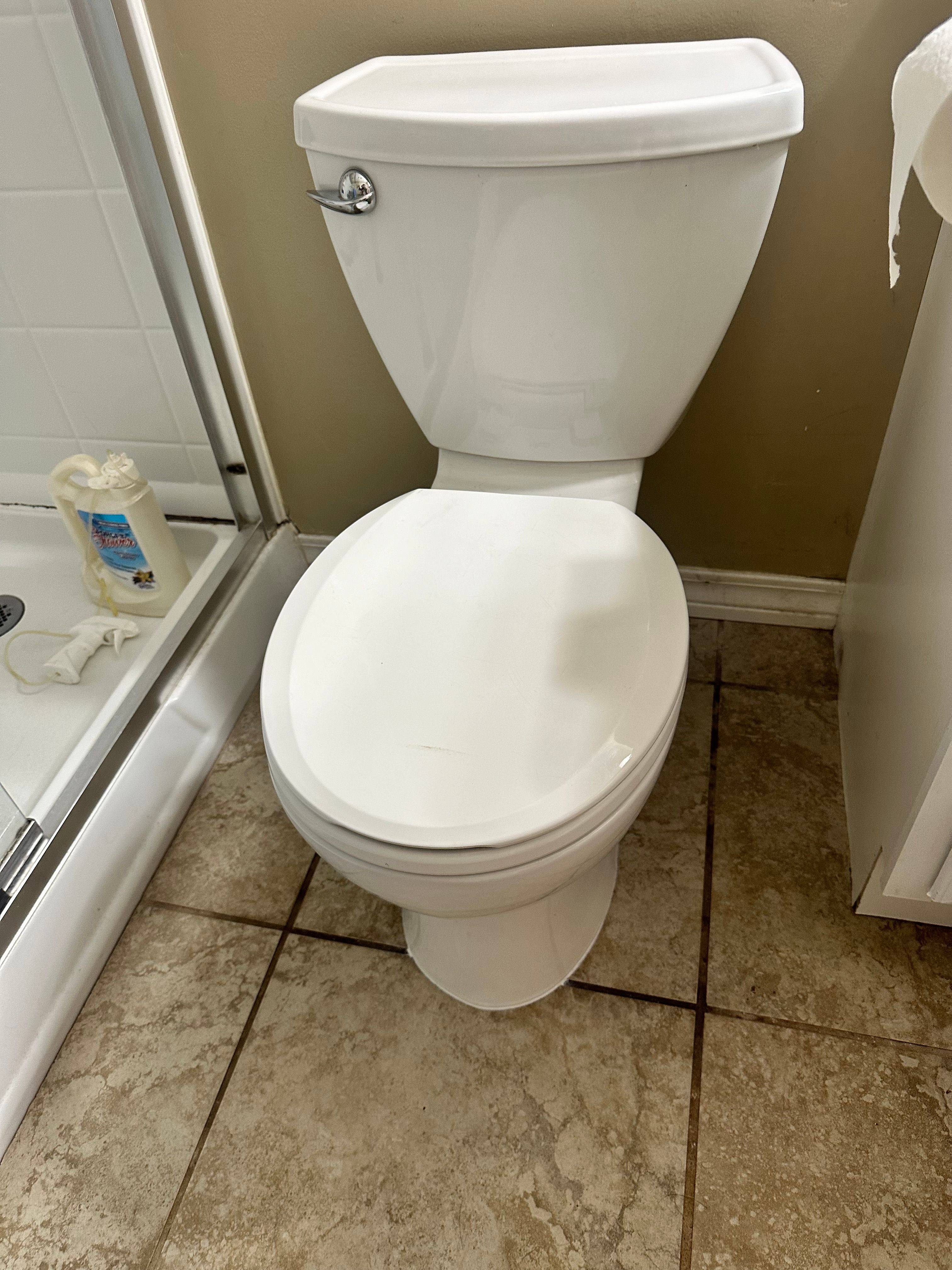 All Photos for The Golden Plumber in Pensacola, FL