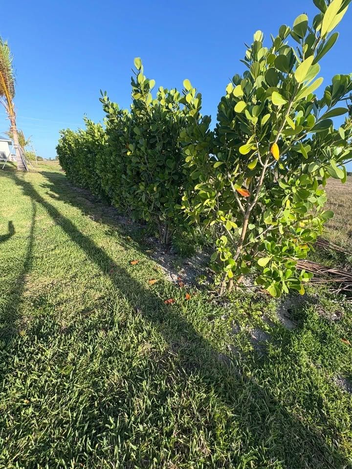  for R&R GreenWorks in North Port, FL