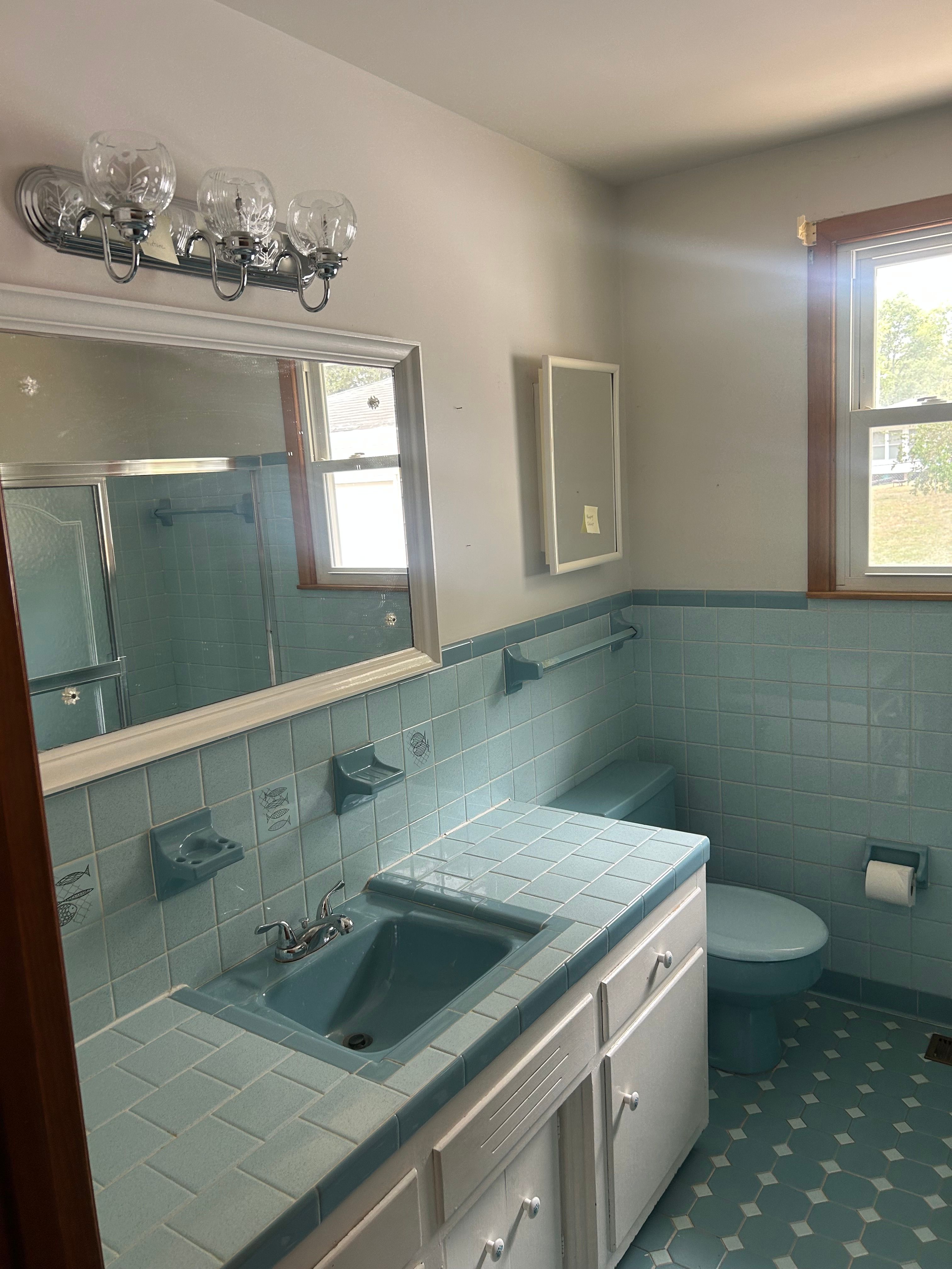  for Pro Plumbing and Home Improvements in Goodlettsville, TN