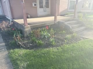  for Bearforce Lawn Care LLC in Greenfield, IN