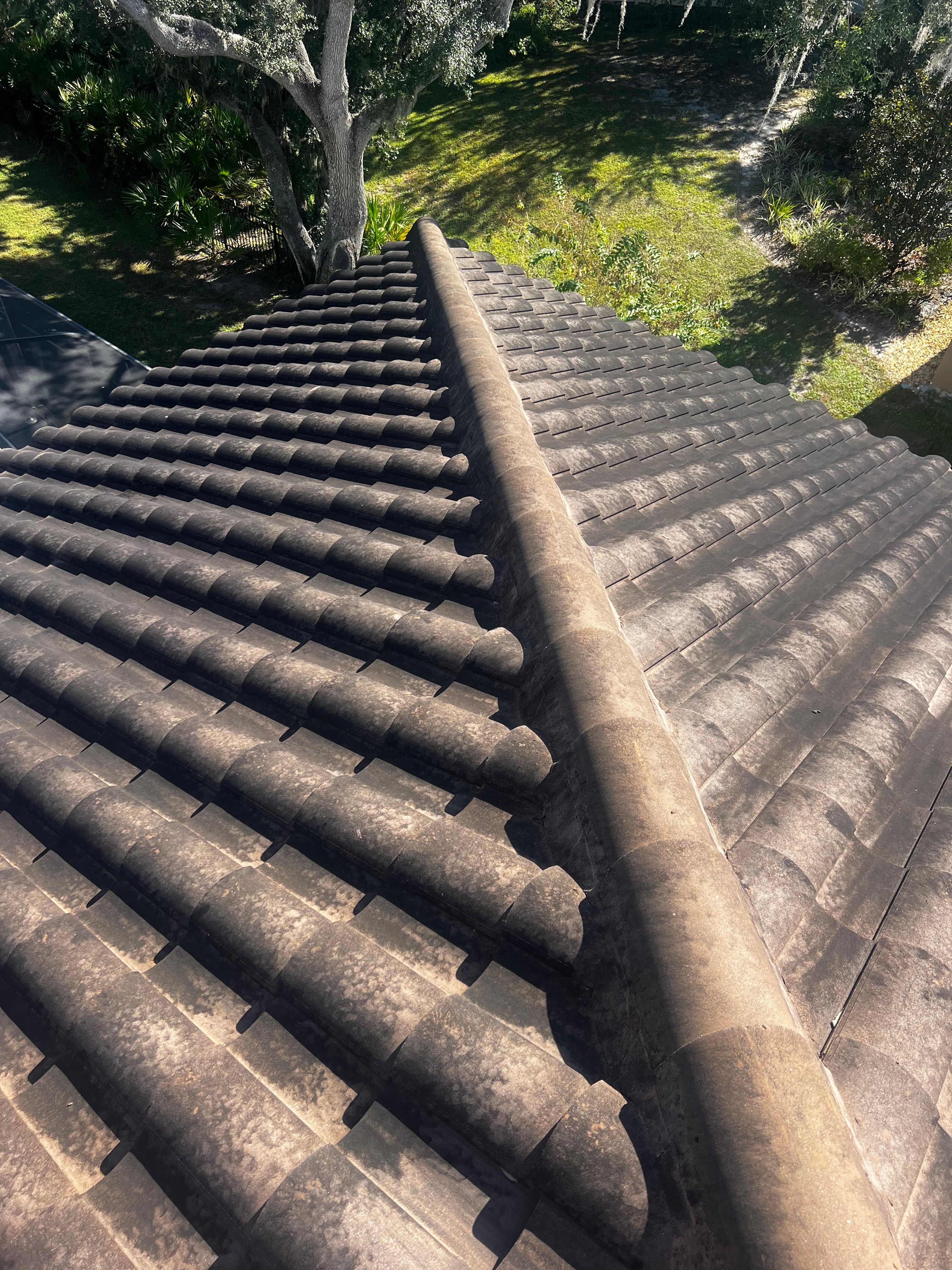  for Barr None Wash Pro in Tampa, FL