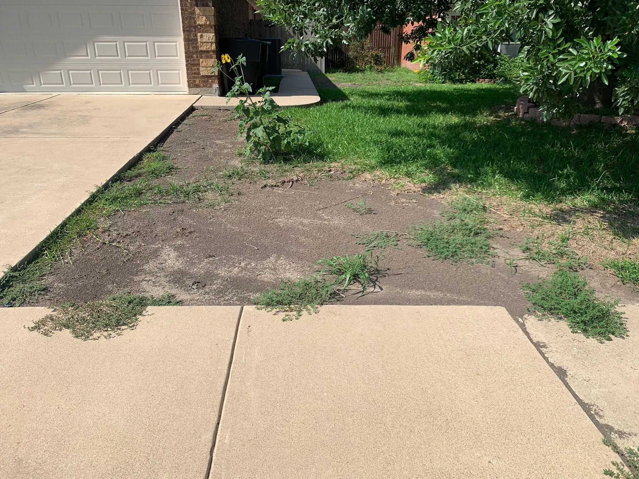  for Scalpel Lawn Service in Temple, TX