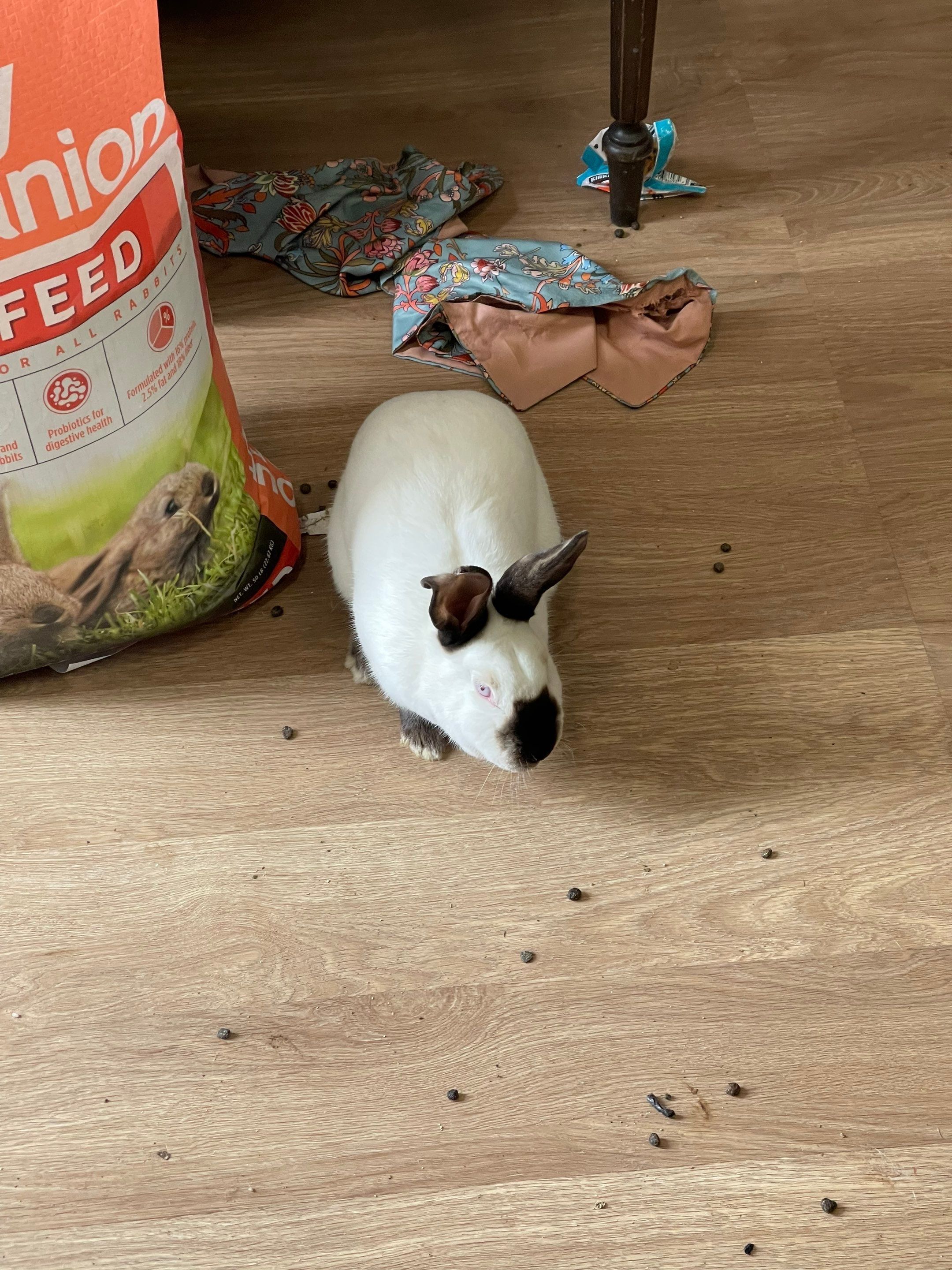 All Photos for Mr. Pipe Dreams LLC in Colorado Springs, CO