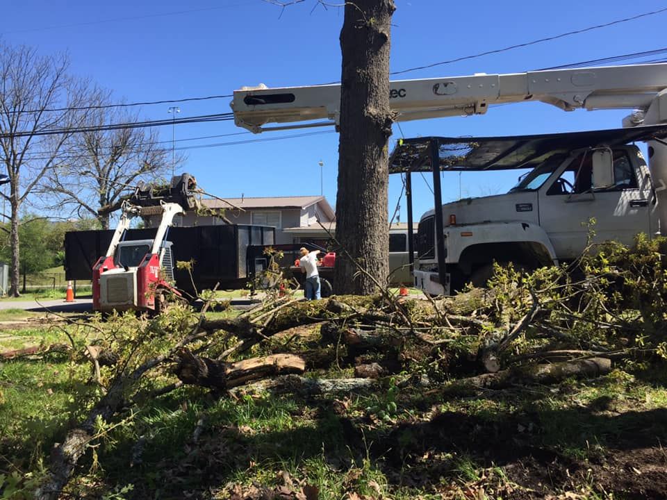  for Jeff’s Tree Service in Southside, AL