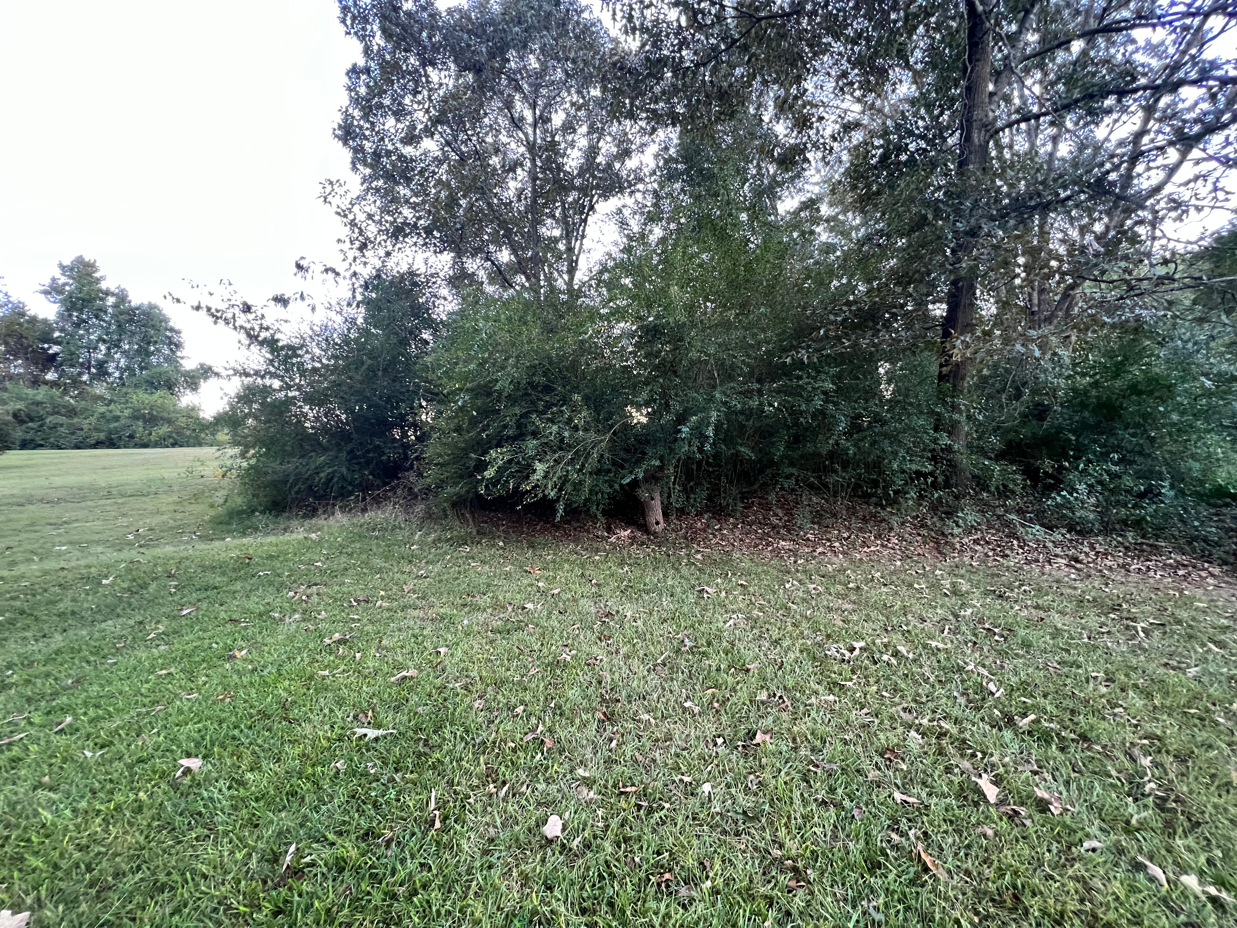 Pine Straw and Mulch for Sexton Lawn Care in Jefferson, GA