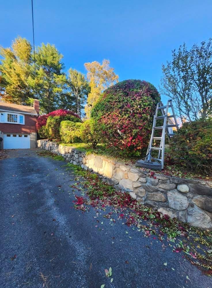  for Landscape Innovations LLC in Torrington, CT