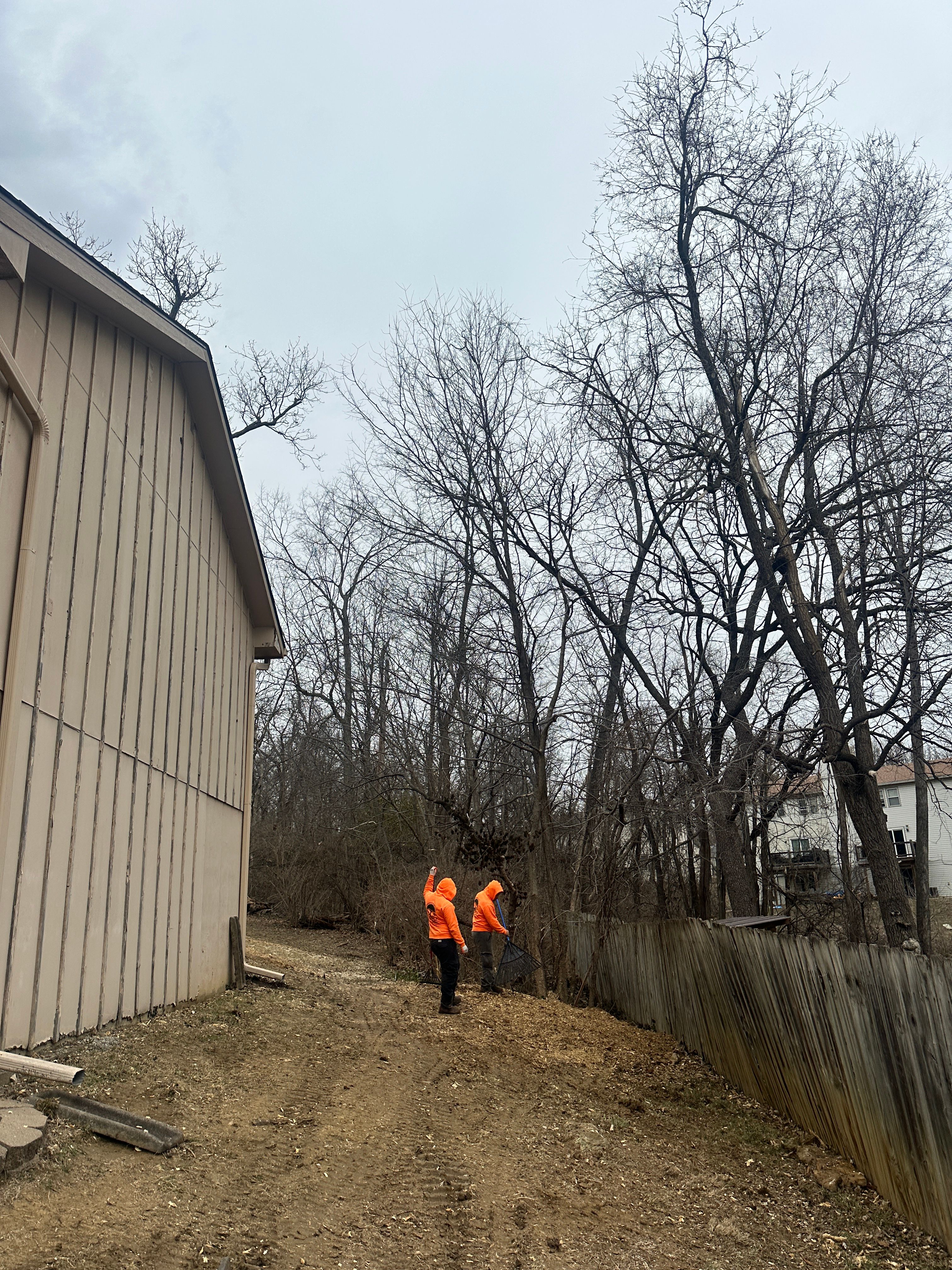 All Photos for Cross Family Tree Service in Kearney, MO