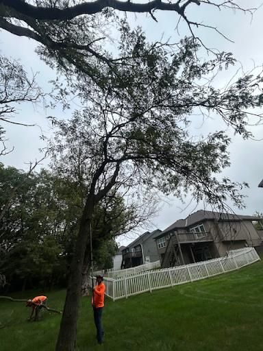 All Photos for Cross Family Tree Service in Kearney, MO