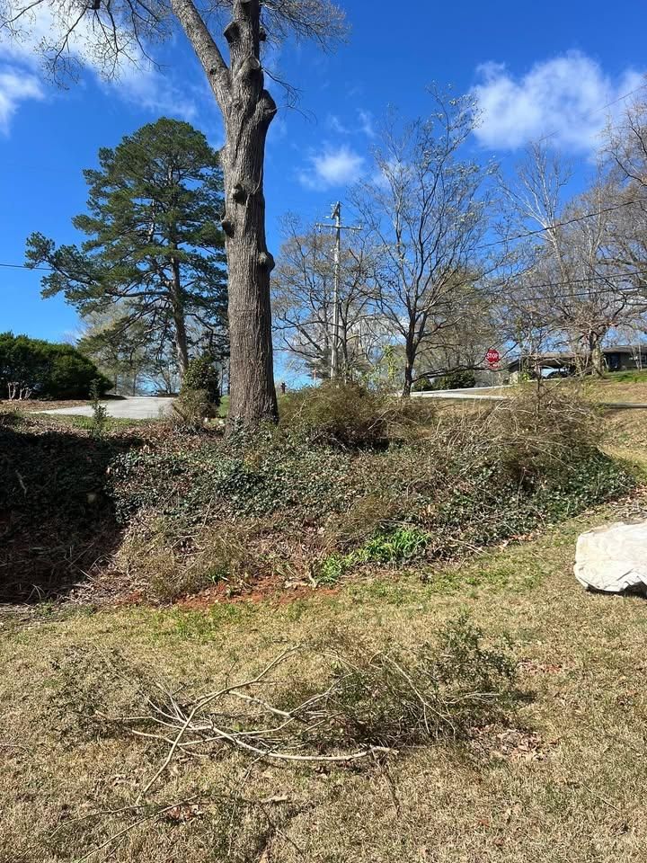  for Foothills Landscape Solutions LLC in Inman, SC