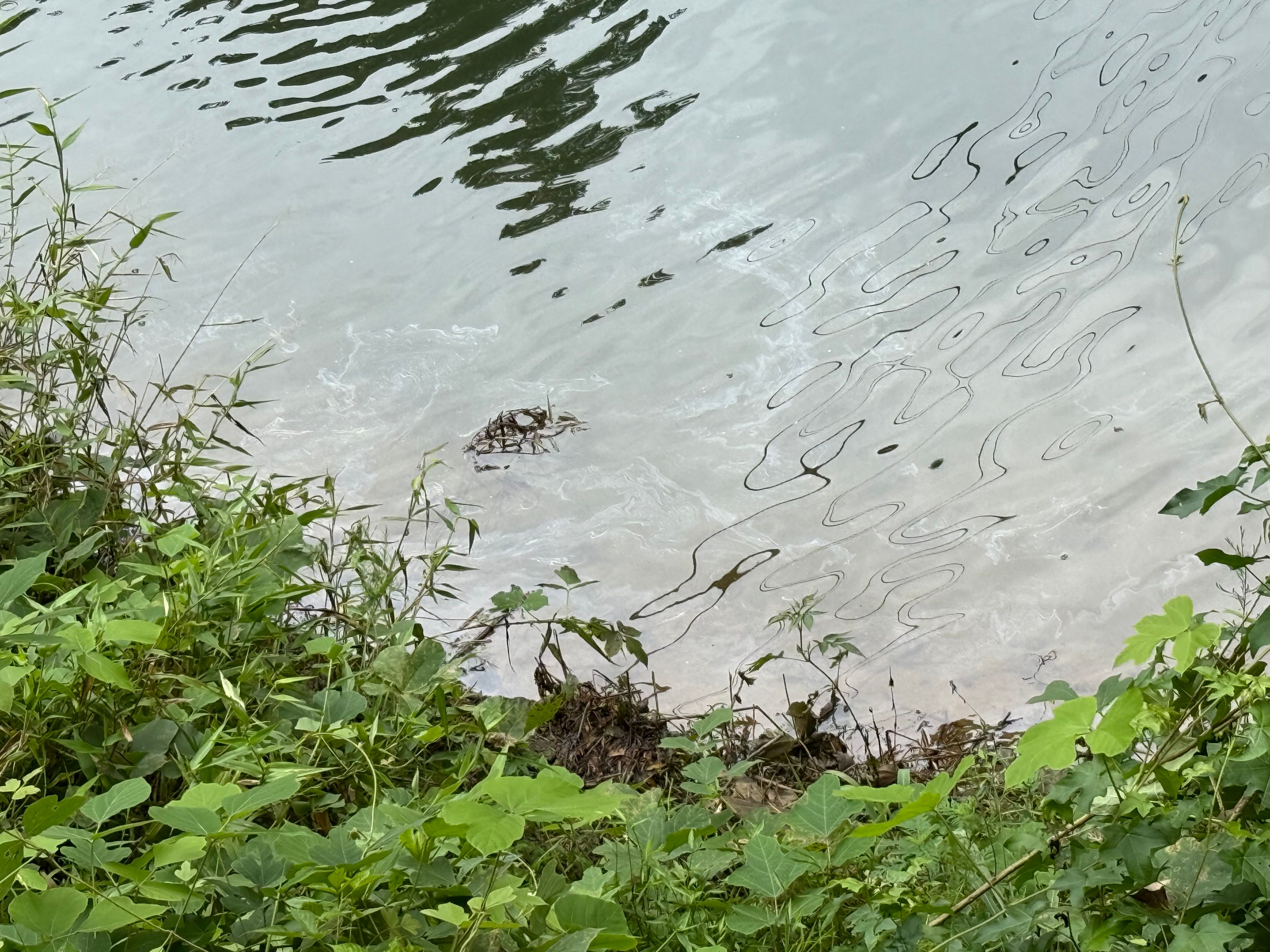  for Foothills Spill Response Team LLC in Spindale, NC