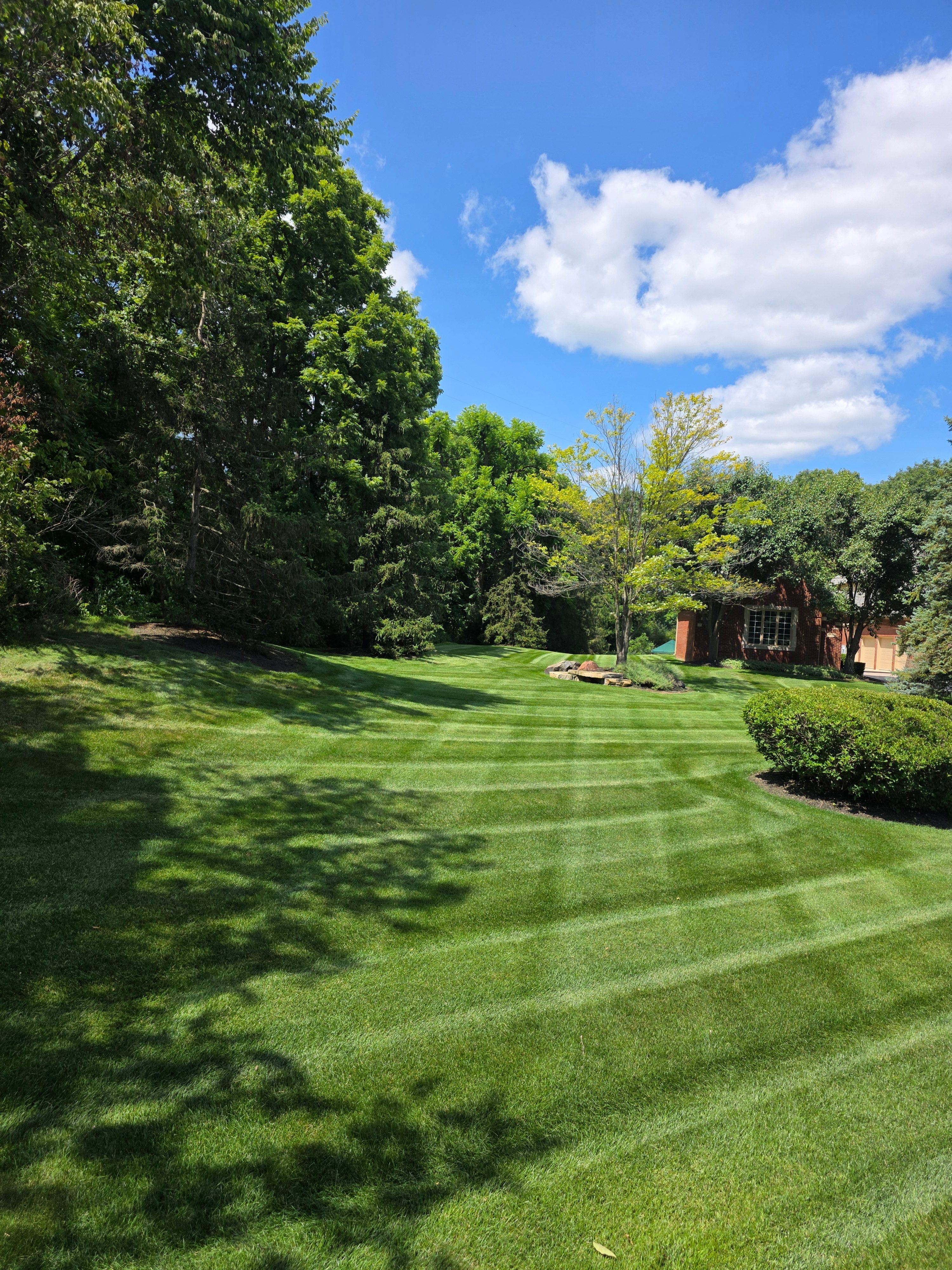  for Ivy Lawn and Landscaping in Oxford, MI