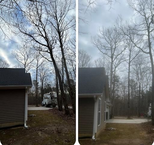  for McBee’s Tree Service in Sewanee, TN