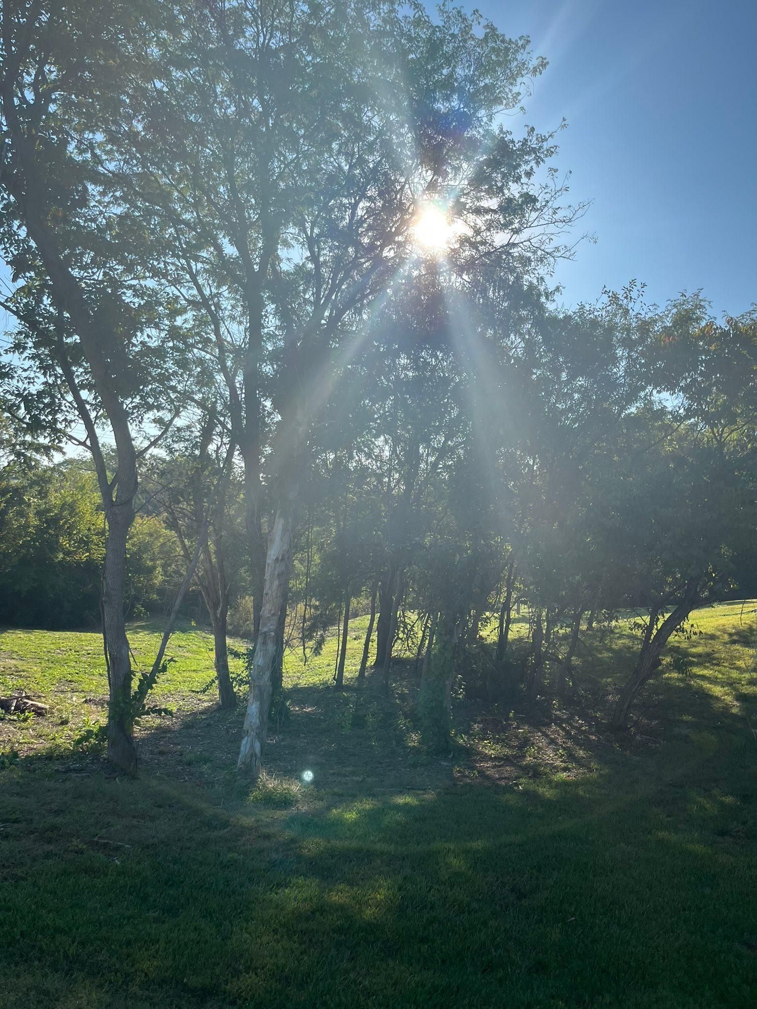 All Photos for Cross Family Tree Service in Kearney, MO