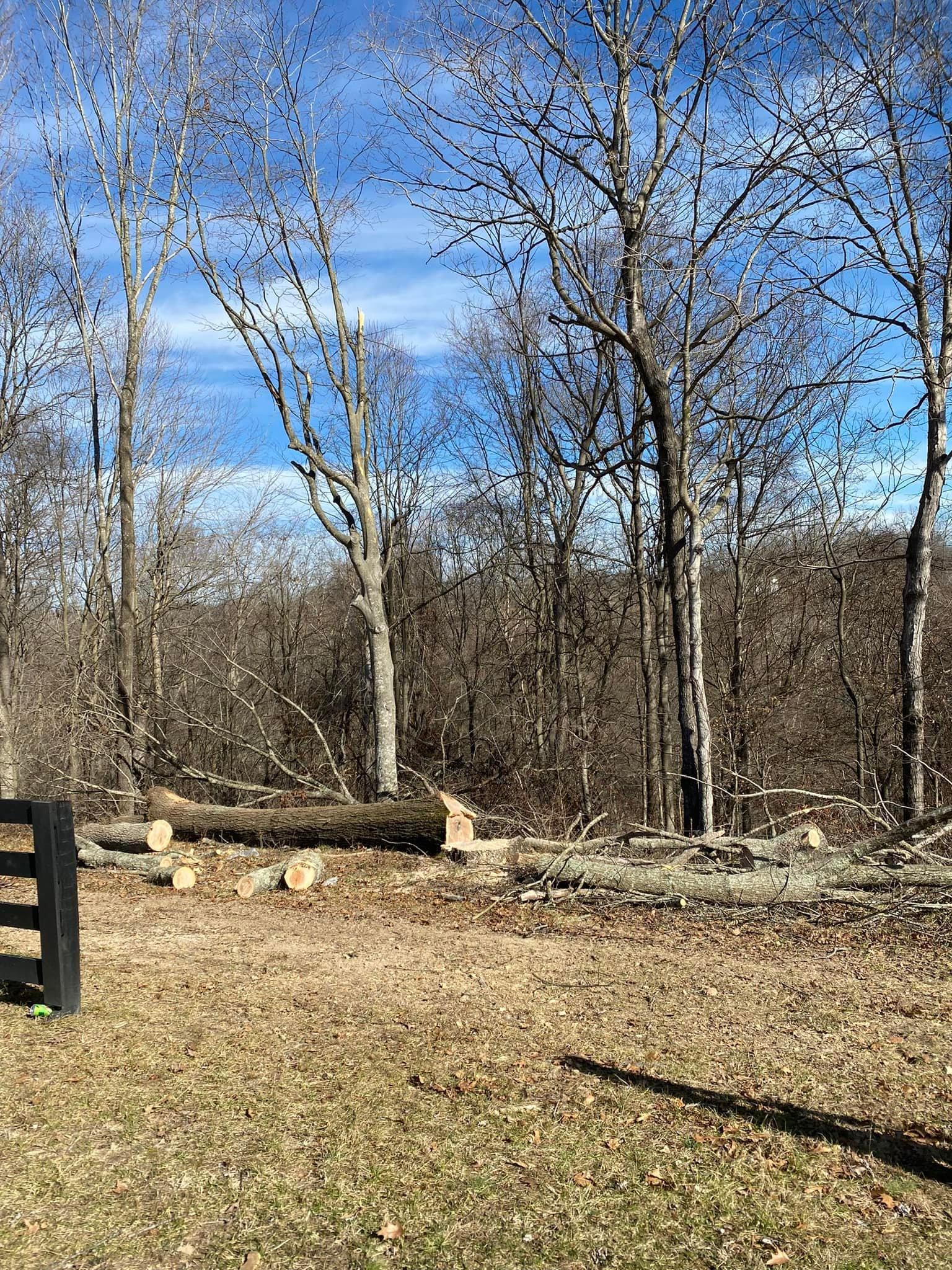 Fall and Spring Clean Up for Atwood’s Tree Care in Liberty,  KY