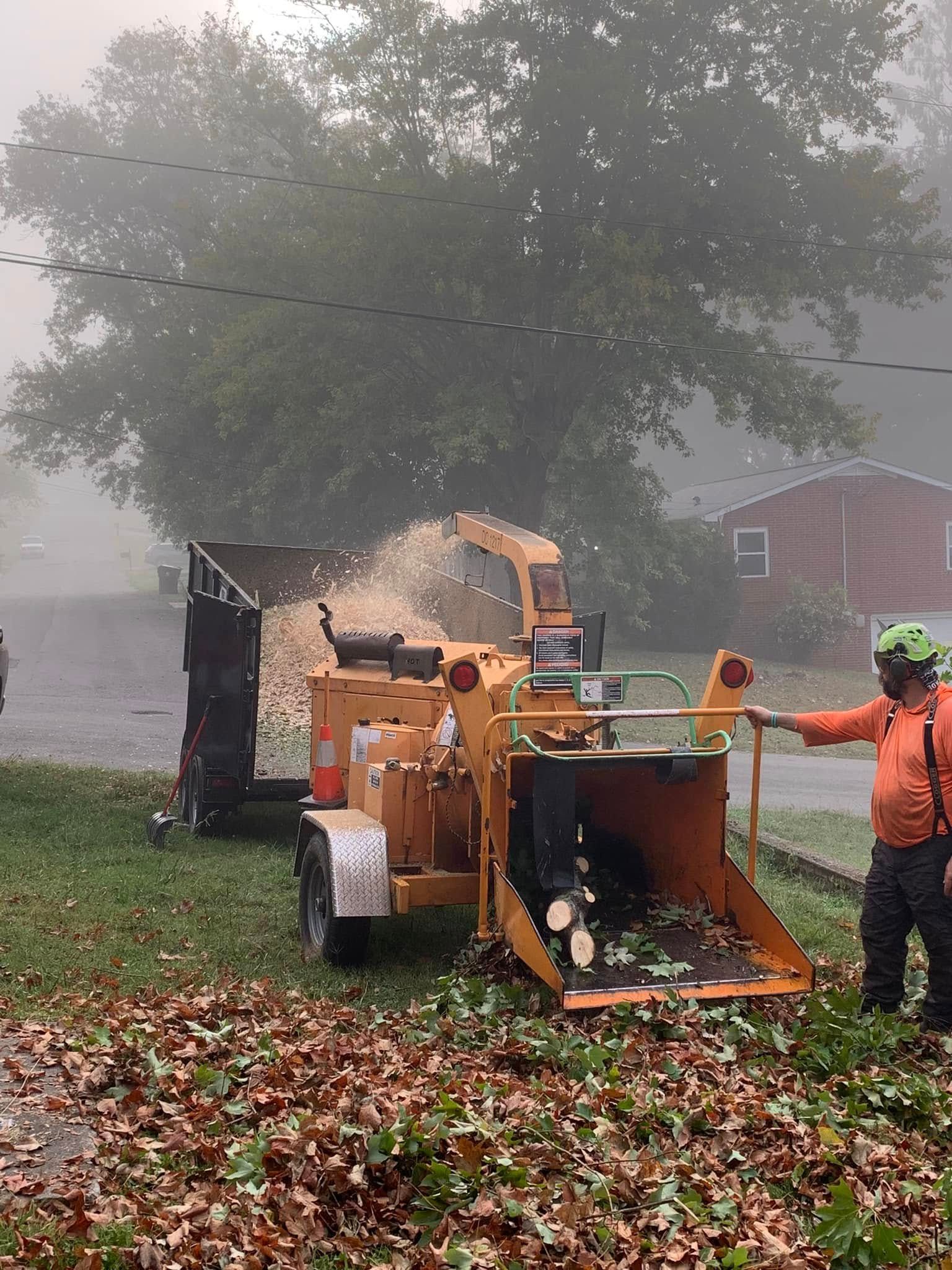  for Grainger Tree Service in Blaine, TN