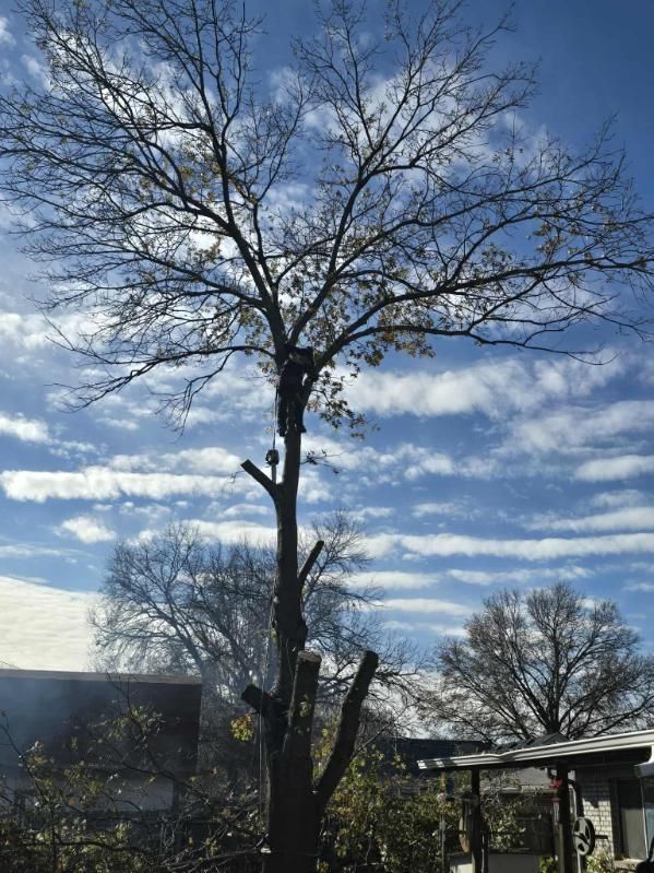  for Oklahoma Tree Guy in Bartlesville, OK