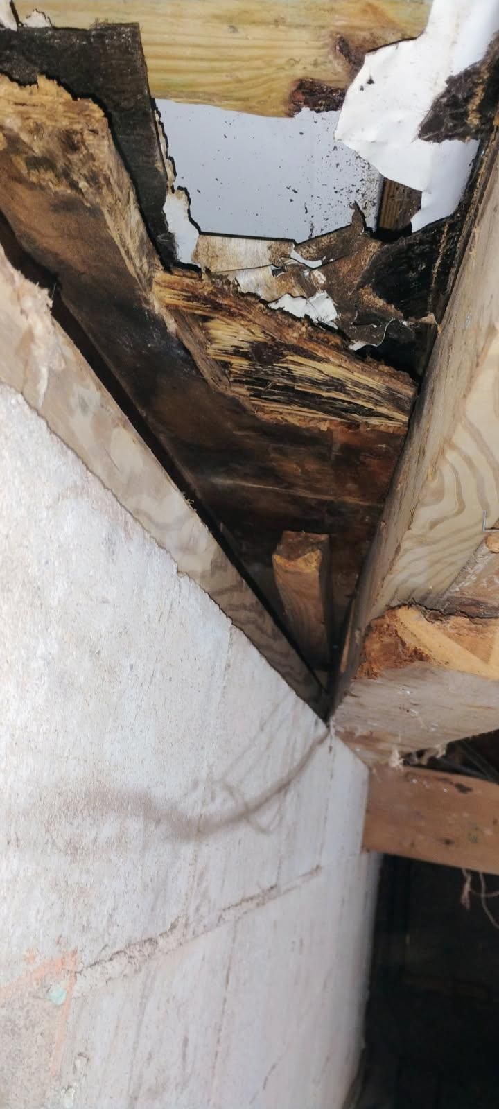  for Kemps’ Handyman Service in Shenandoah, PA