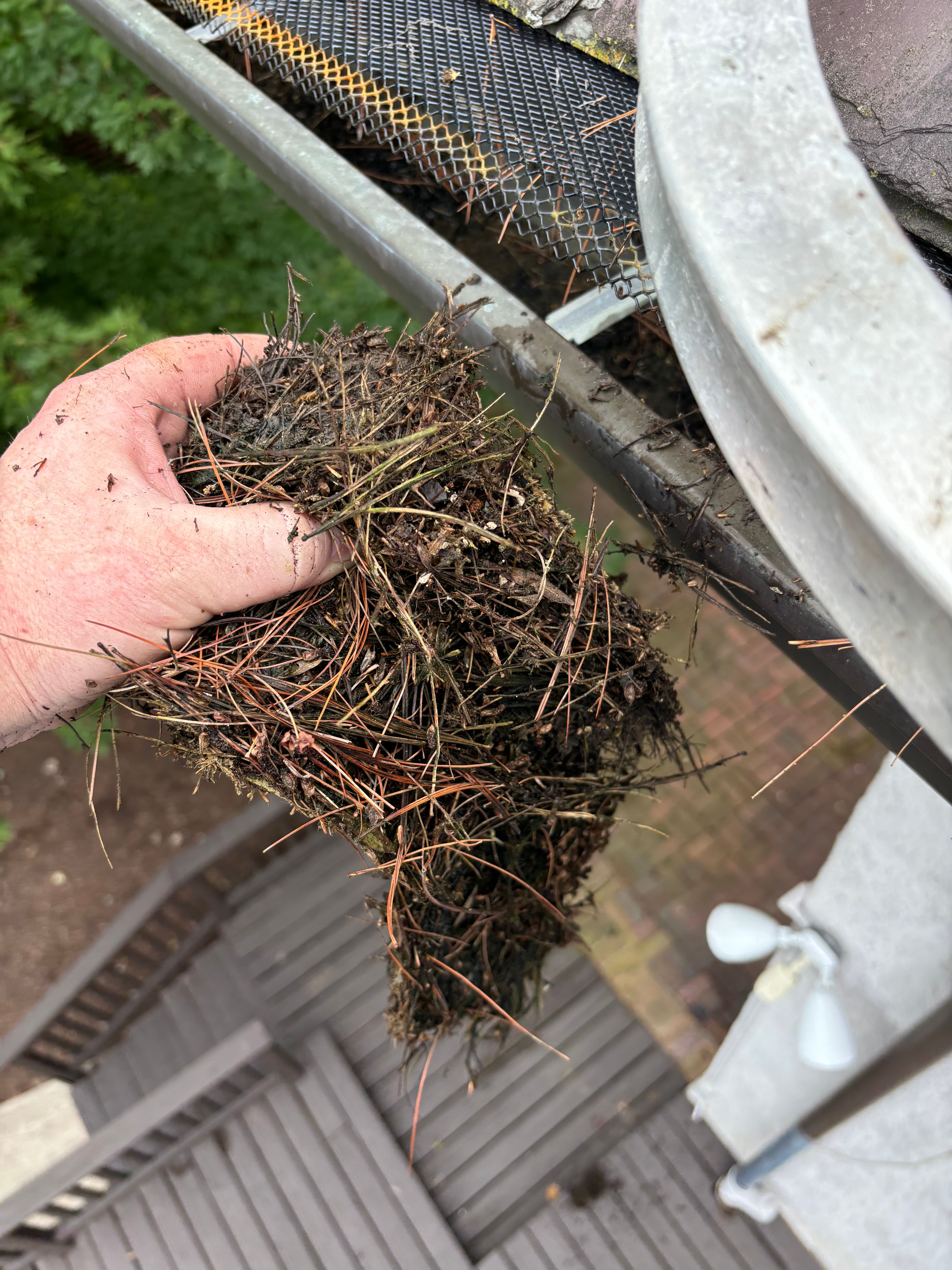  for See2it Clean in St Louis, MO