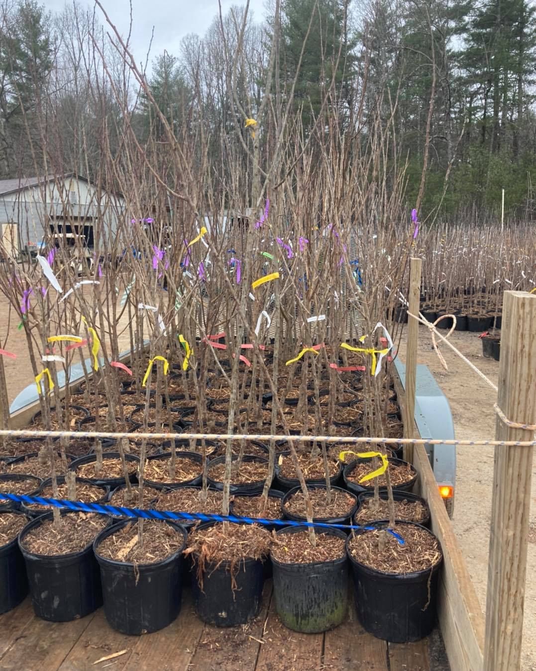 All Photos for S&R Landscaping and Nursery in Charlotte, NC