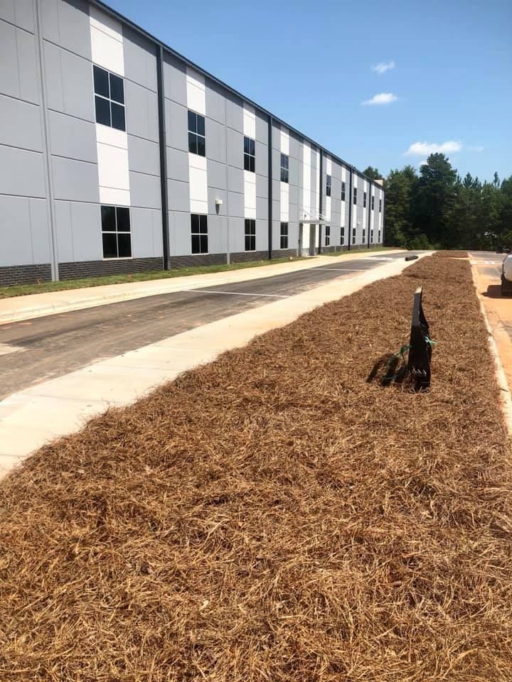  for Pecina Pine Needles in Monroe, NC