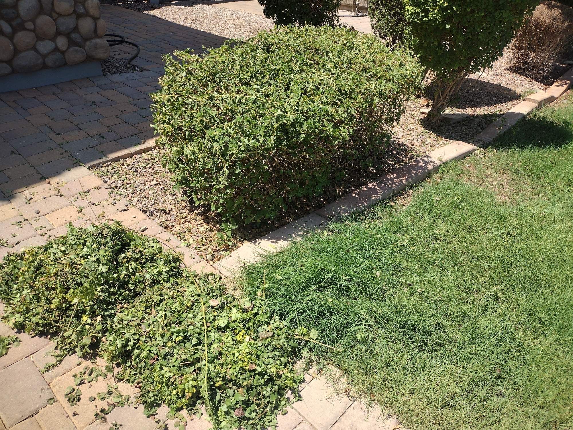  for Smooth Lawn Service in Mesa, AZ