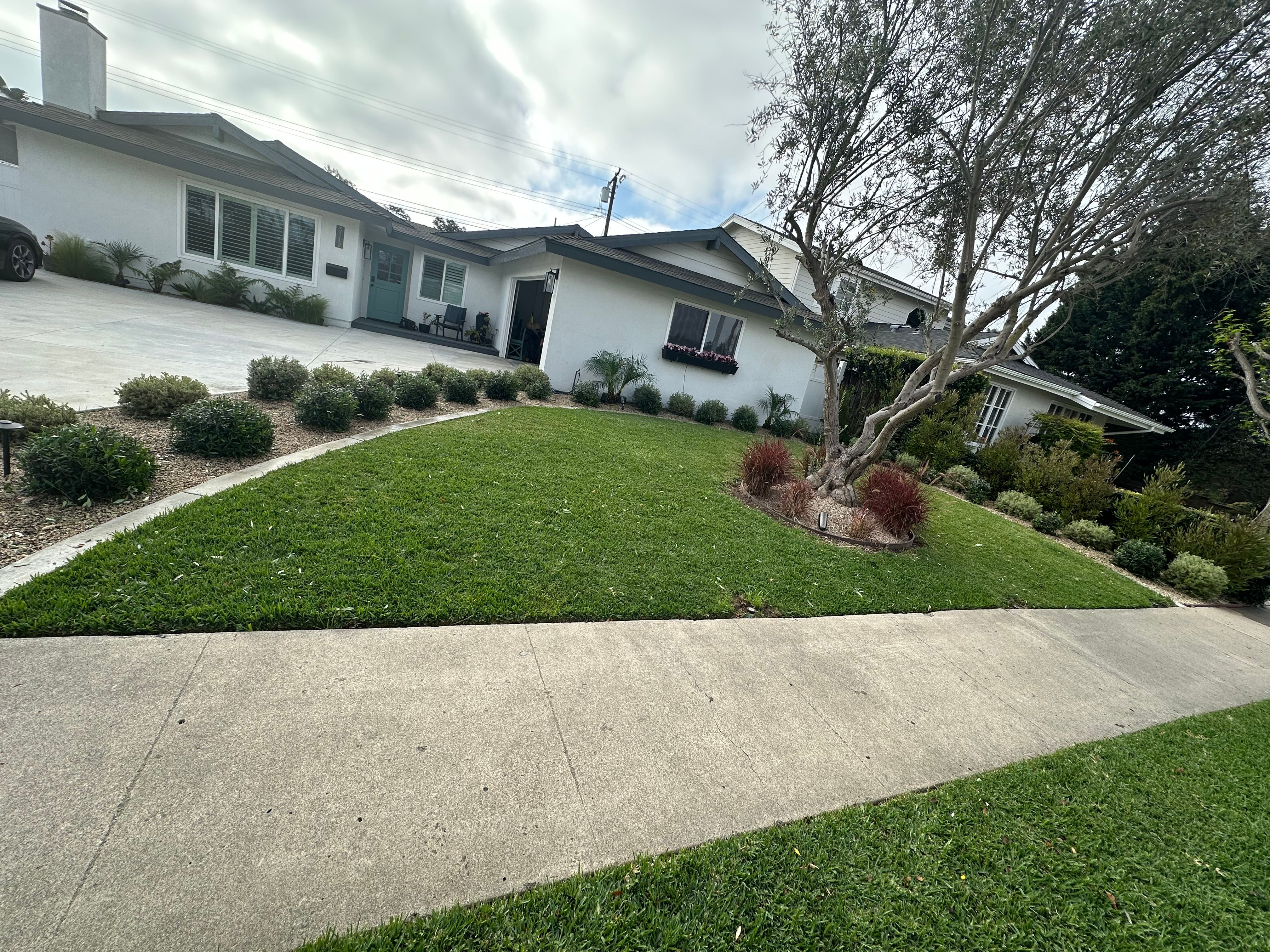  for Benito's Gardening and Tree Service  in San Juan Capistrano, CA