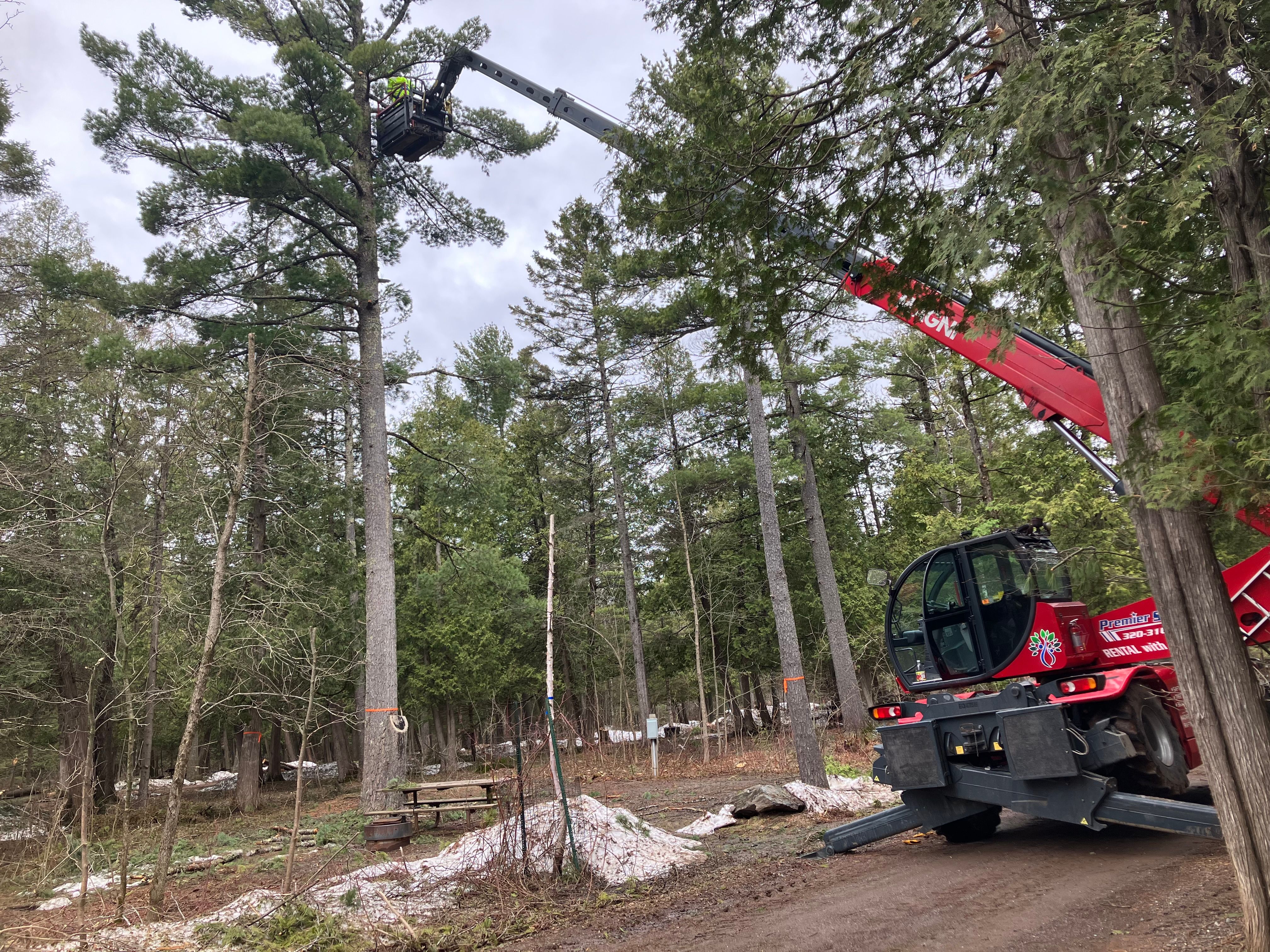  for Premier Services in New London, MN