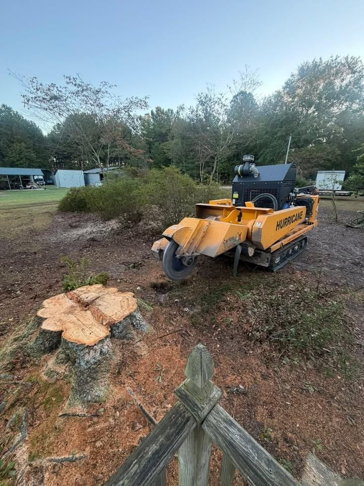 for Dozier Stump Grinding in Augusta, GA