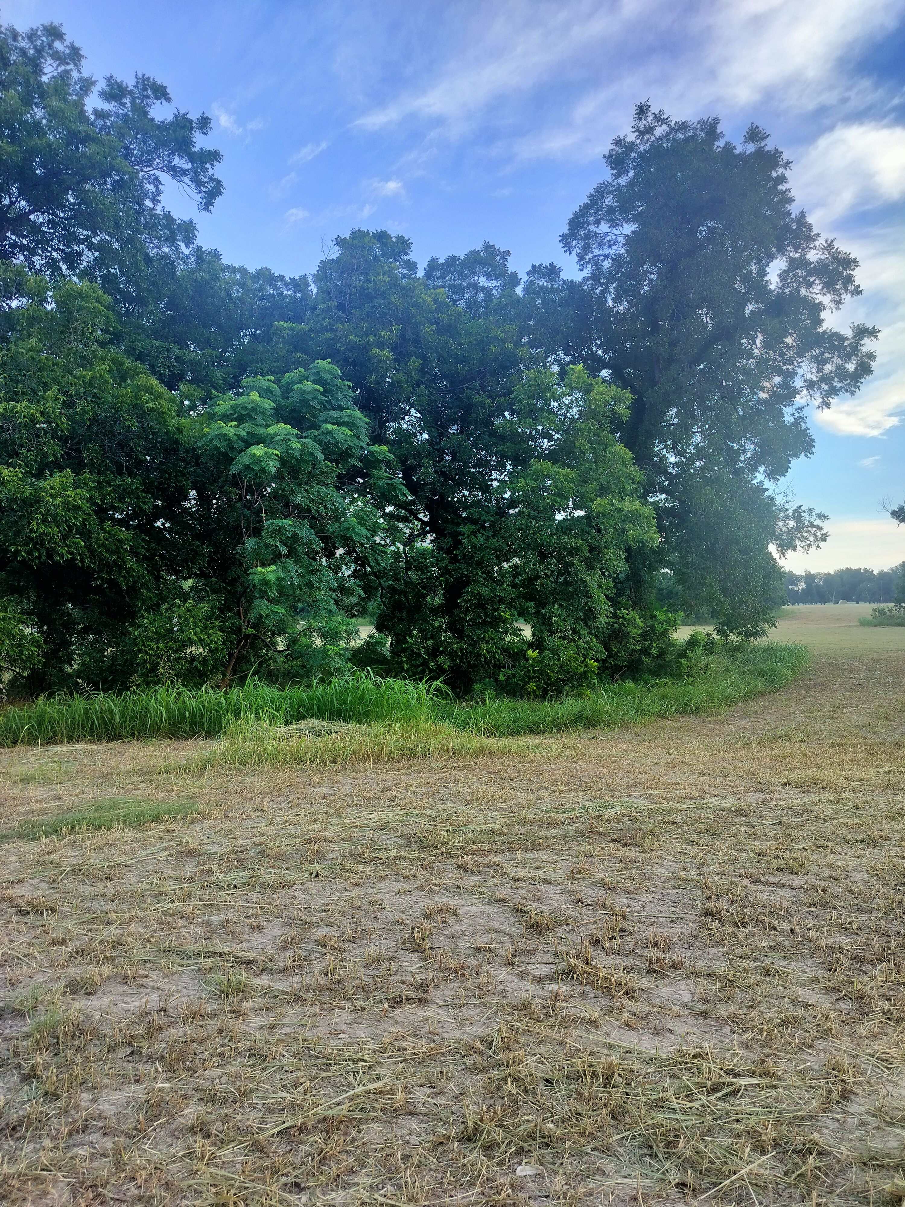  for 512 Land Clearing in Blanco County, TX