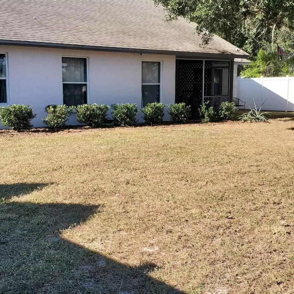  for 1 Friendly Lawn Service in Tampa, FL