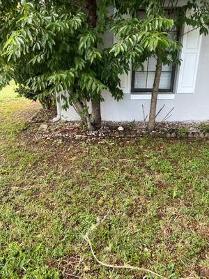  for Reliable Septic Tank Services in Marion County, FL in Reddick, FL