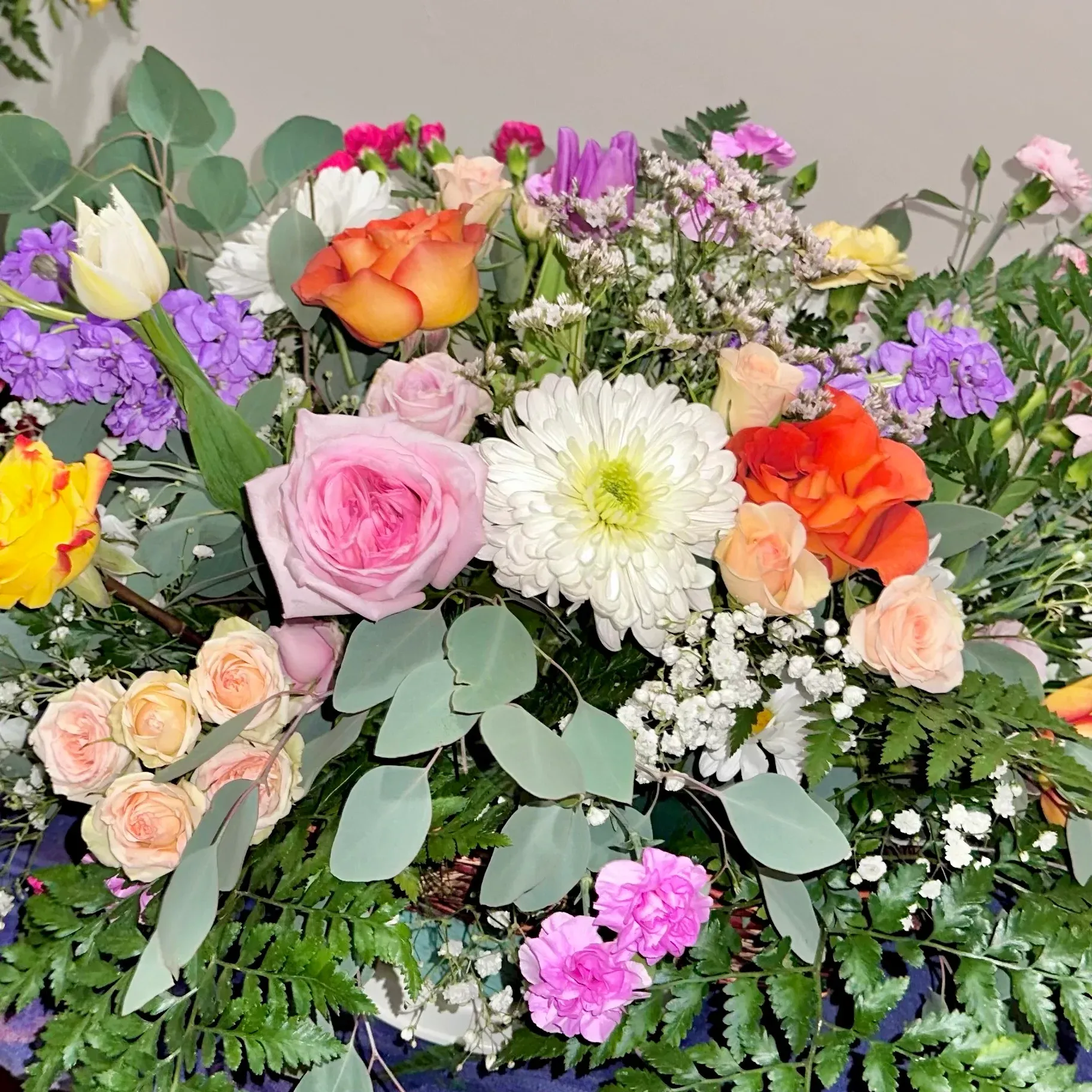  for The Dailey Daisy in Hardwick, VT