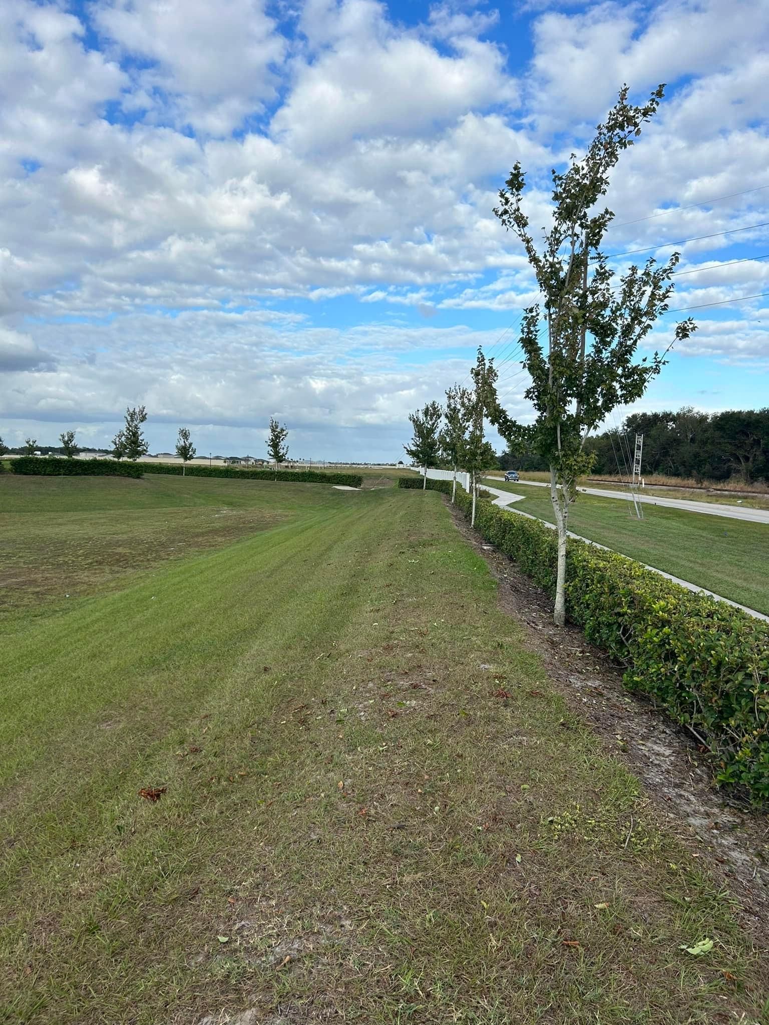 All Photos for Estrada All Pro Lawn Service in Auburndale, Florida