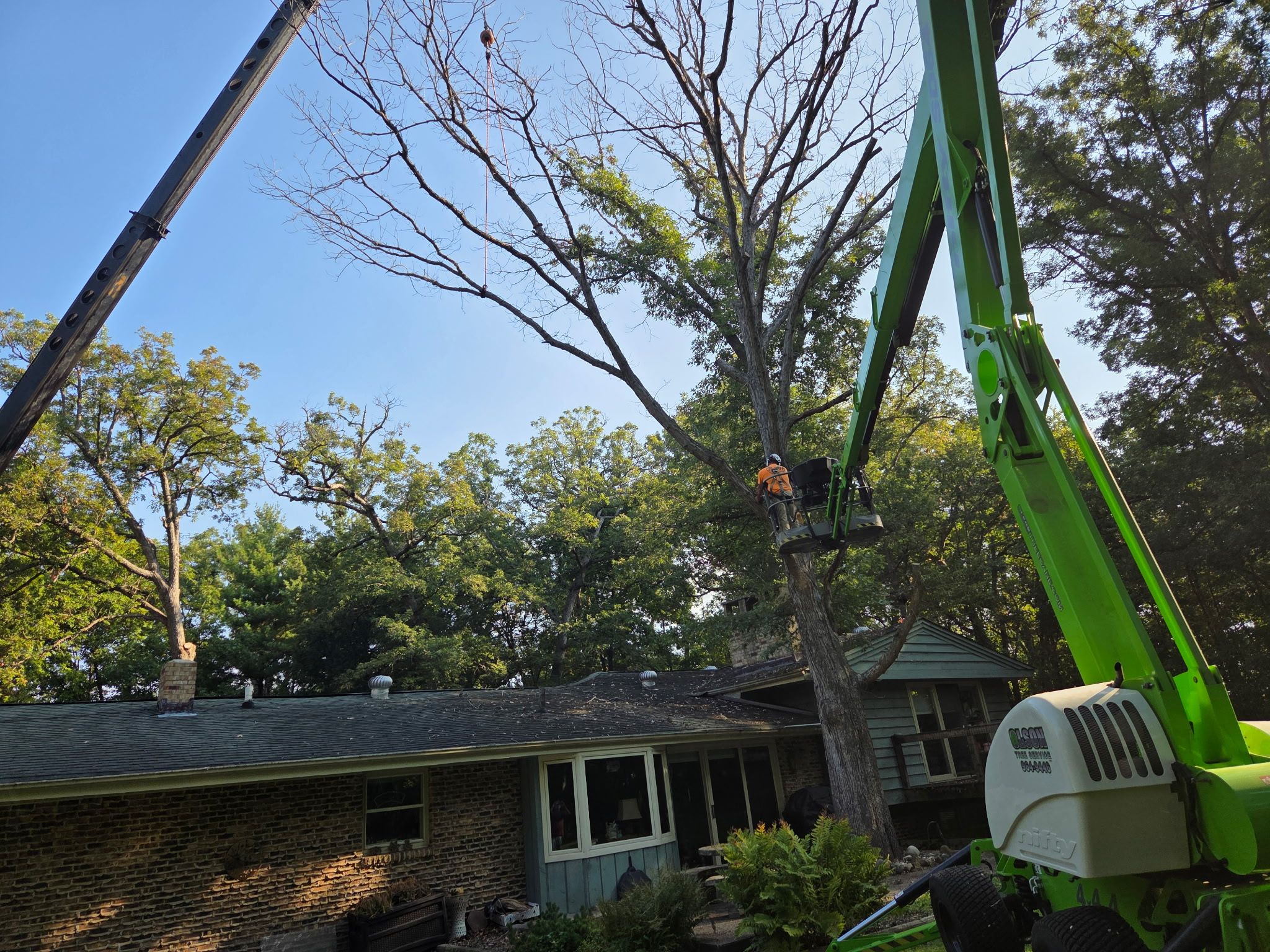Tree Removal for Olson Tree Service, Inc in Rockford, IL