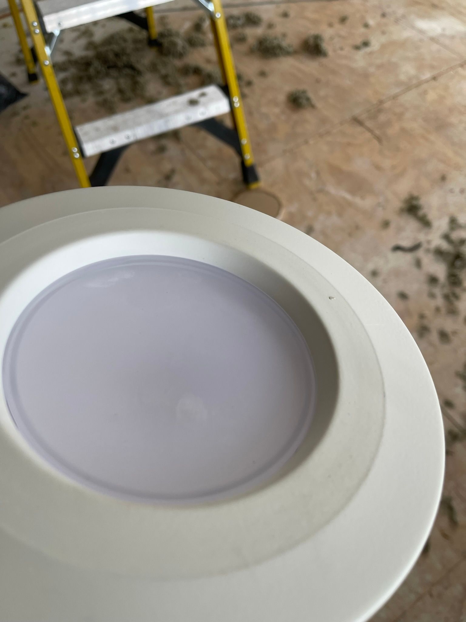  for Tony's Remodeling & Painting in Renton, WA