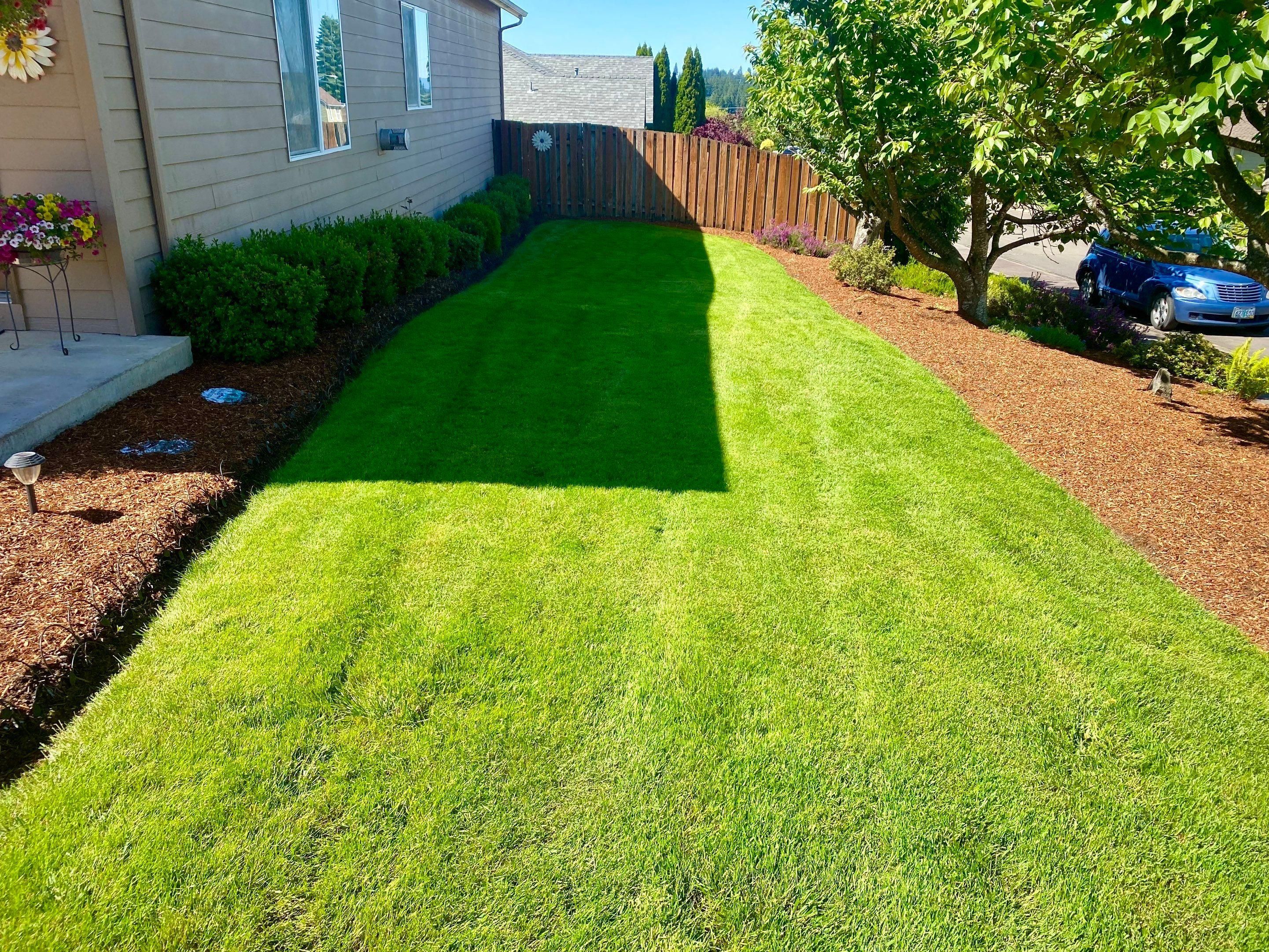  for Willamette Landscaping and Tree Services in Albany, OR