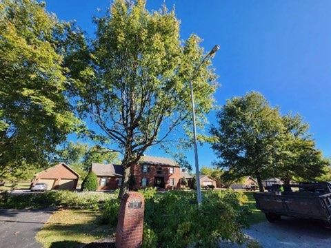  for Curtis Tree Service LLC in Hopkins County, KY