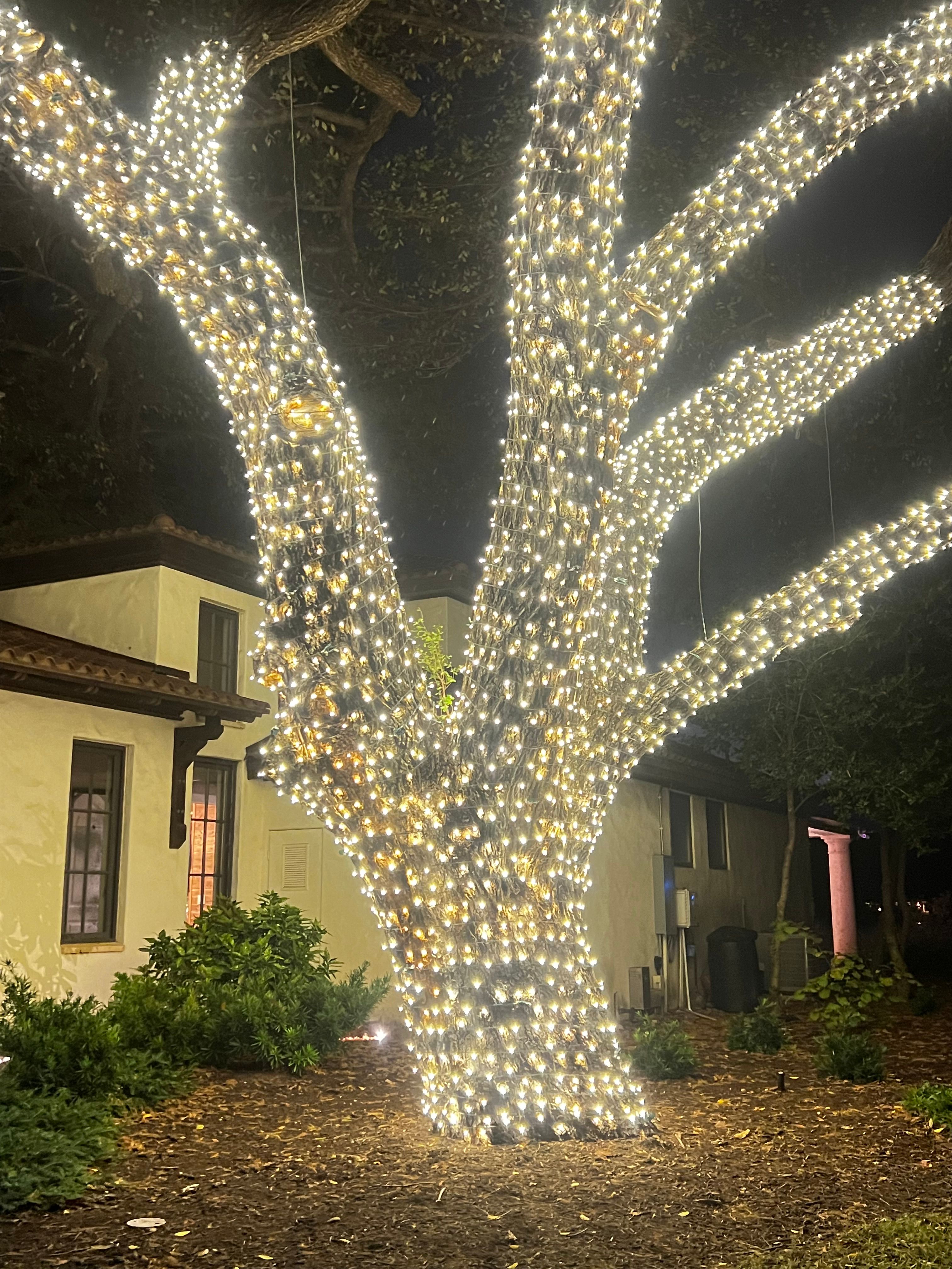  for Casa Care Property Services in Austin, TX