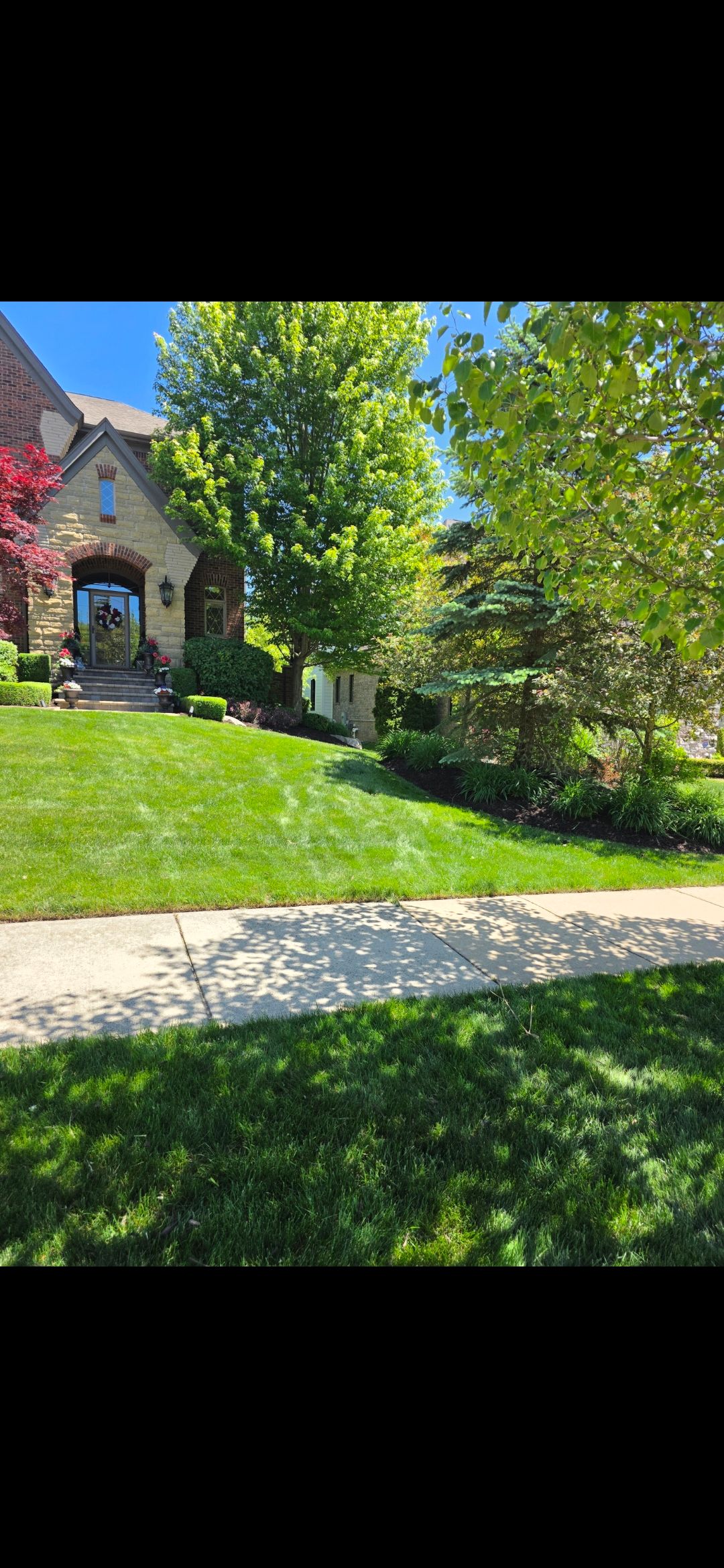  for Ivy Lawn and Landscaping in Oxford, MI