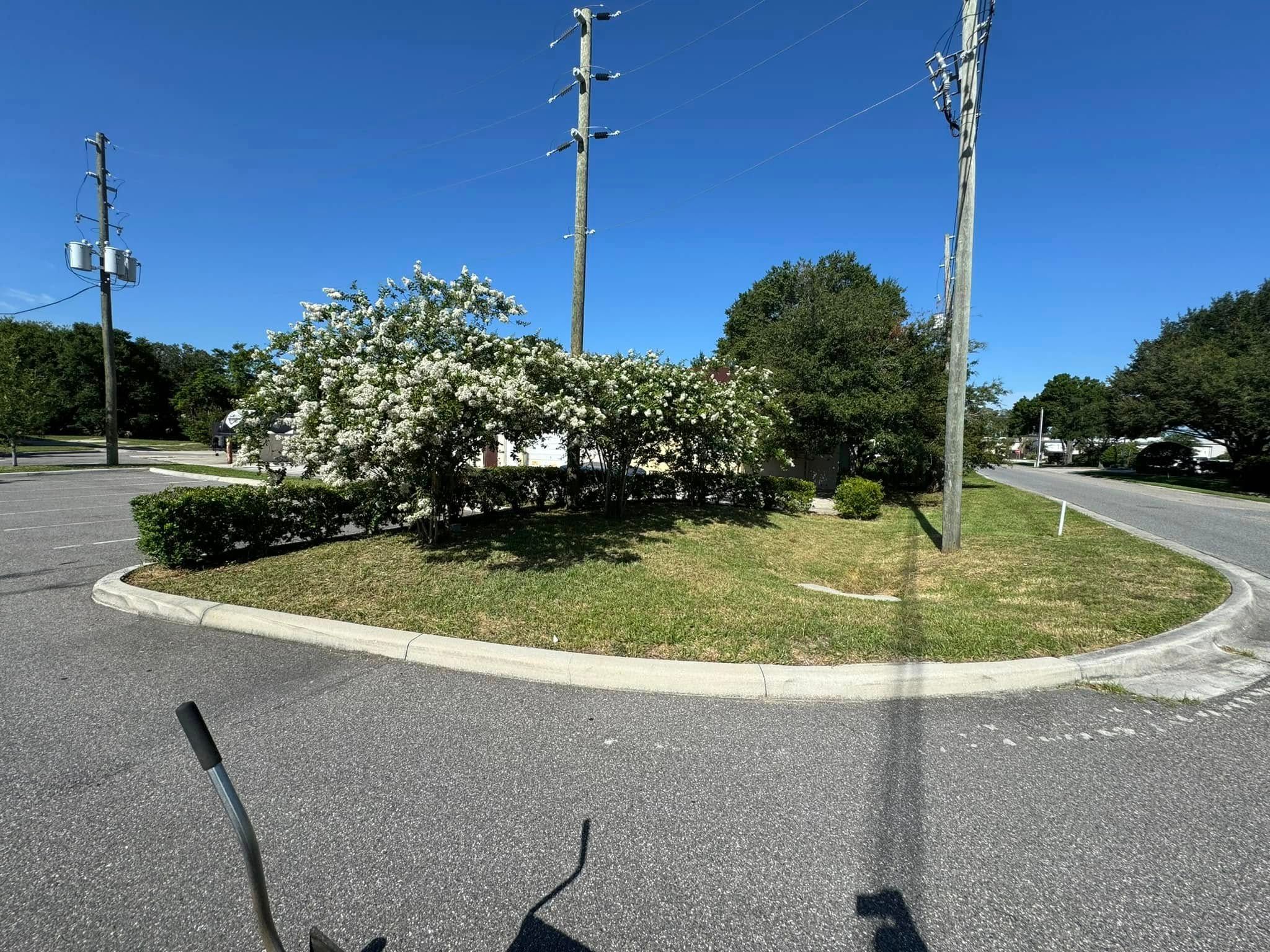 Landscaping for MyerScapes Environmental LLC in Mulberry, FL