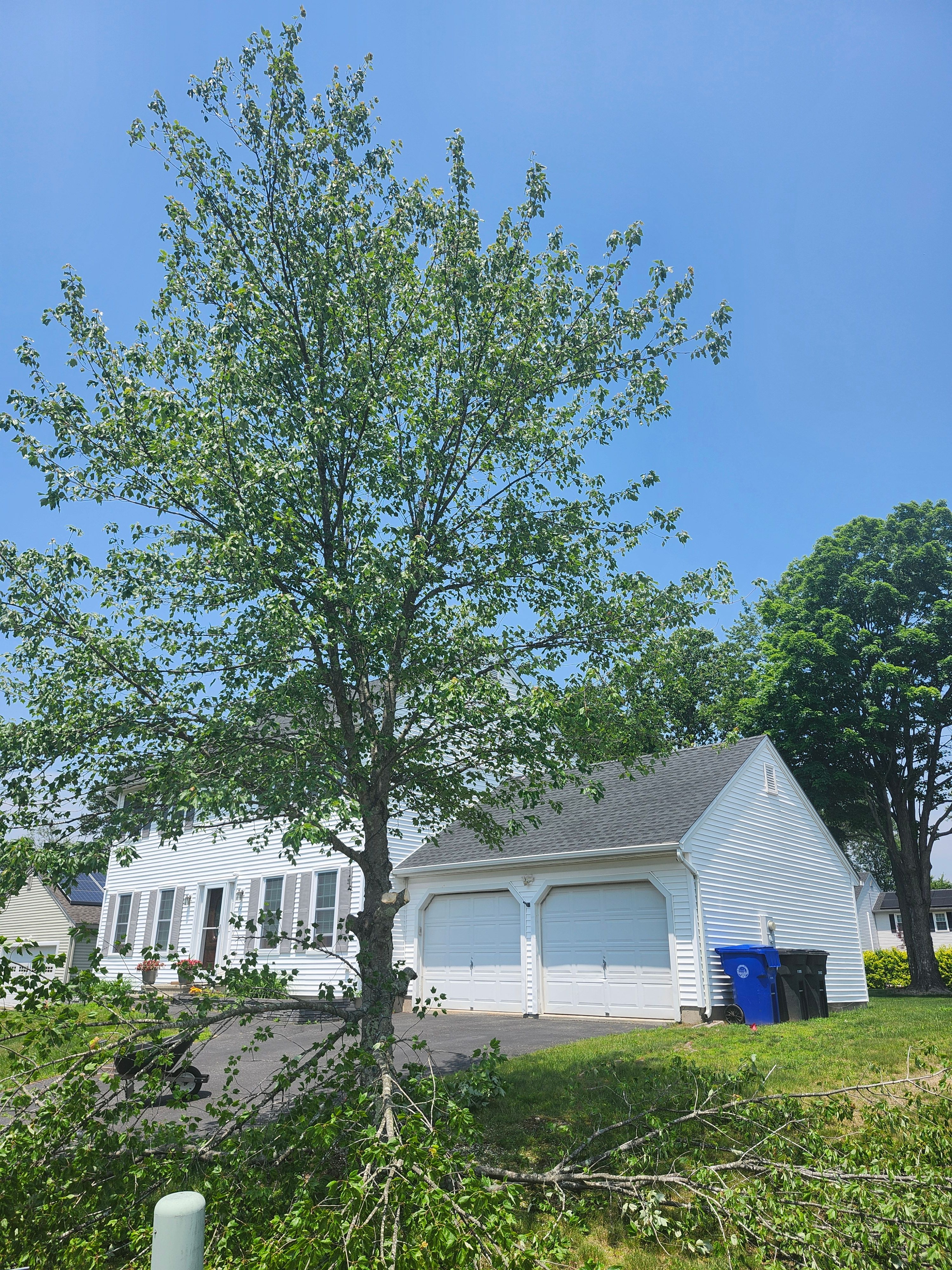 Hedge/Tree/Brush Cutting for Landscape Innovations LLC in Torrington, CT