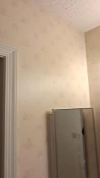  for Raw Paintings, Sheetrock Repairs and Cleaning in Columbia, SC