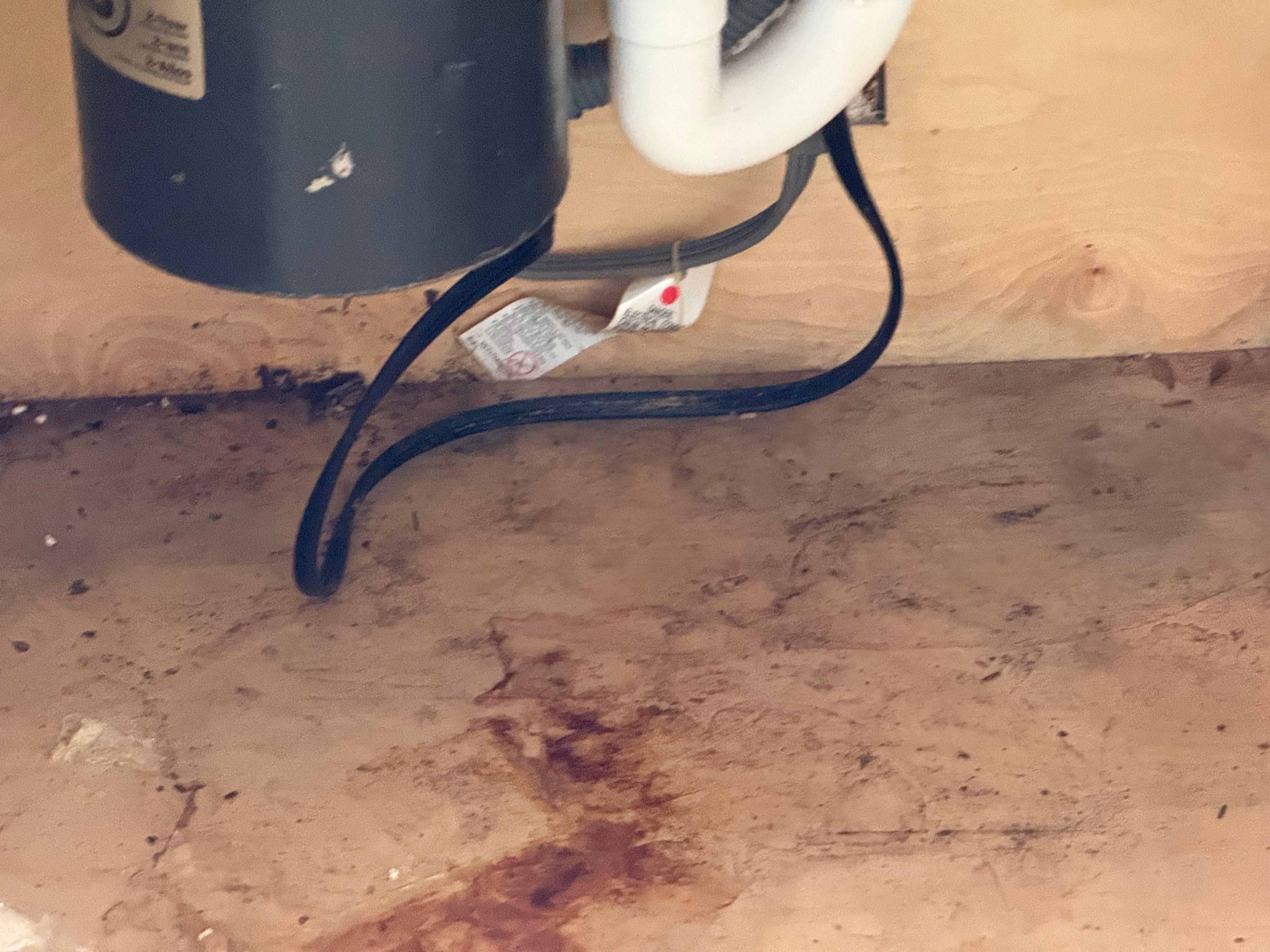  for Surplus Public Adjusters in Miami-Dade County, FL