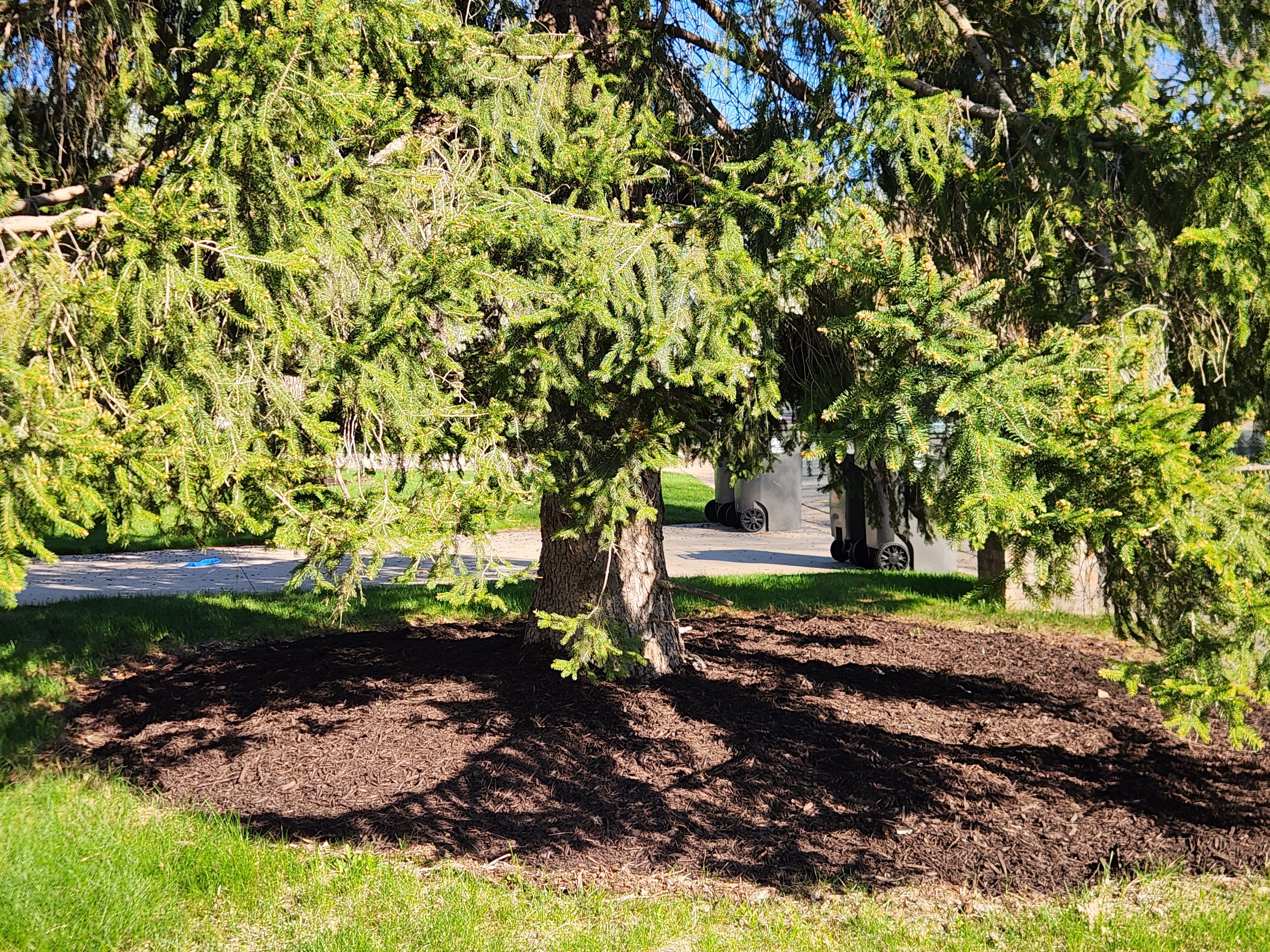  for K & I Lawn Care Service  in Eden Prarie, MN
