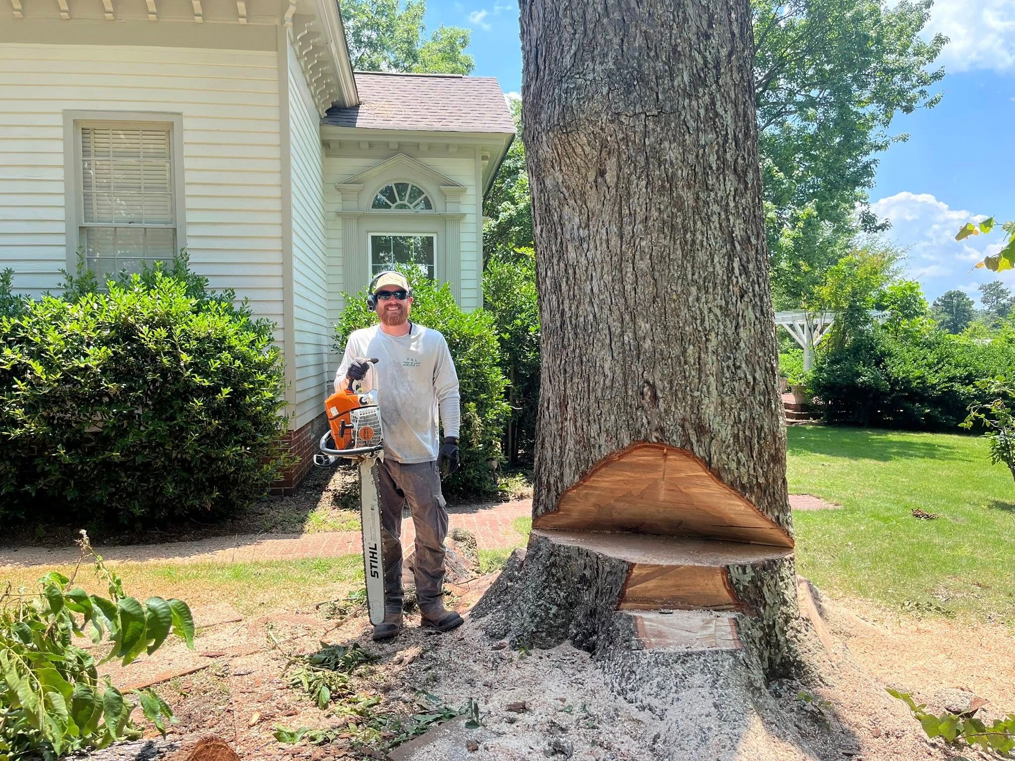  for T N L - Tree and Land Service in Reynolds, GA